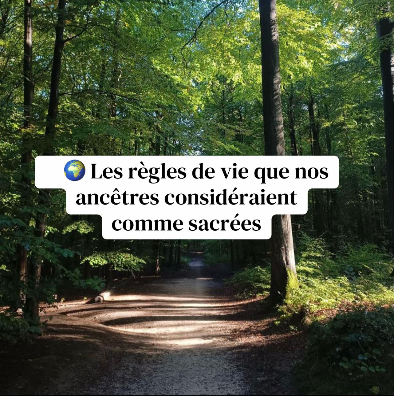 @La_Mama_Des_&Eacute;veill&eacute;s🤍🌱
