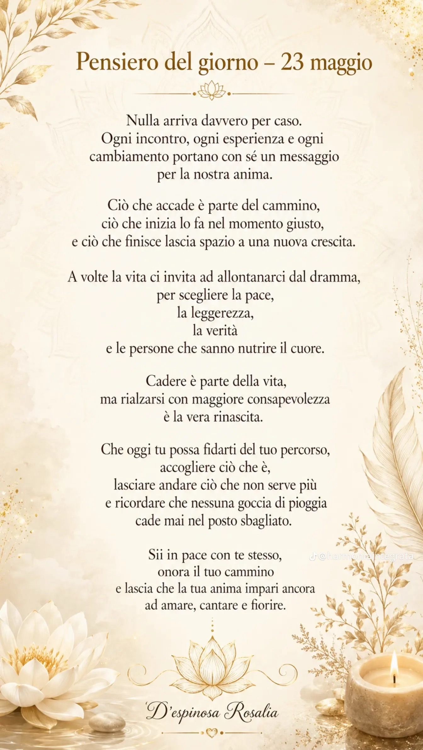 @❣️Antonella❣️