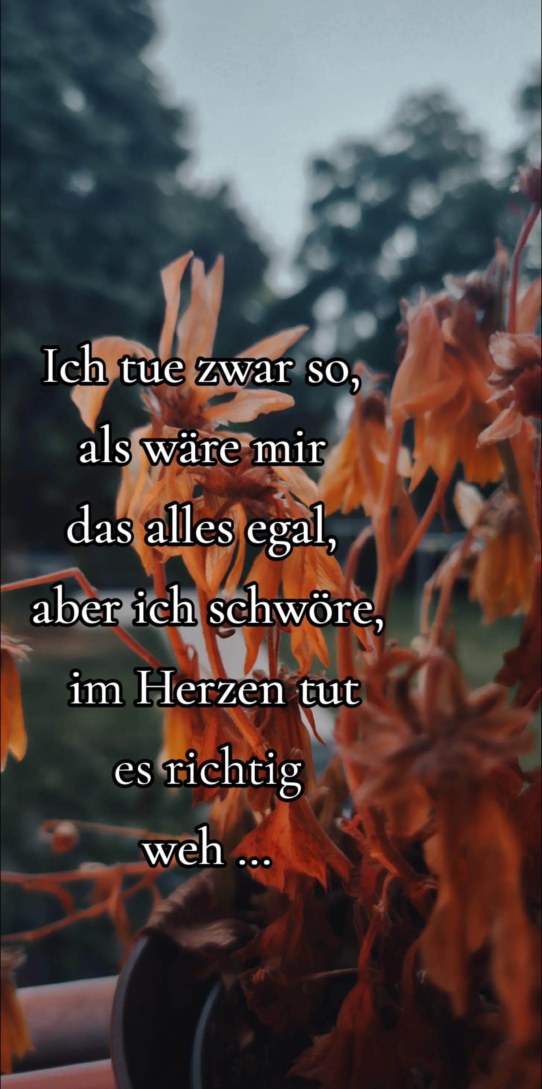 @Steffi