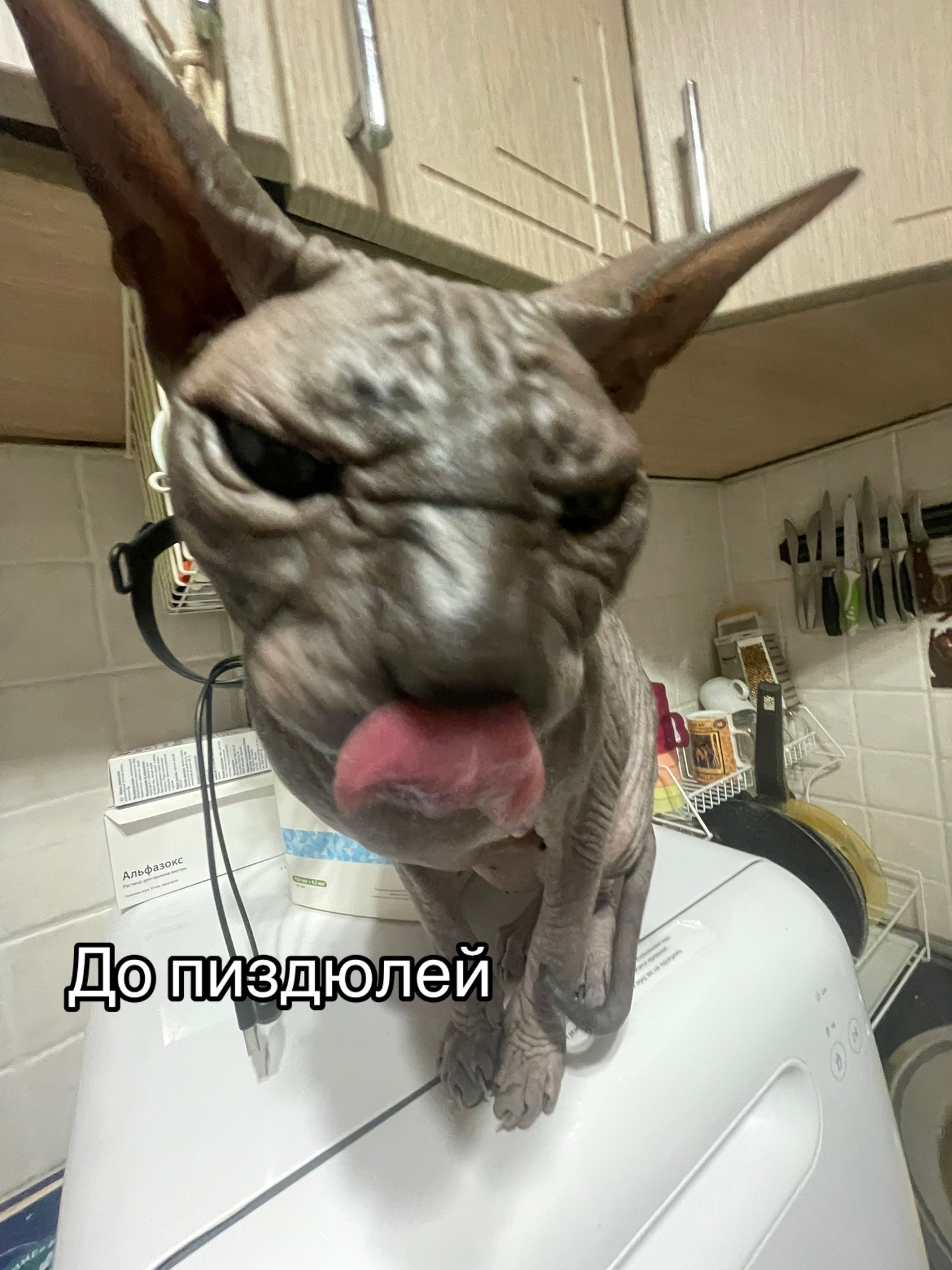 @дантист