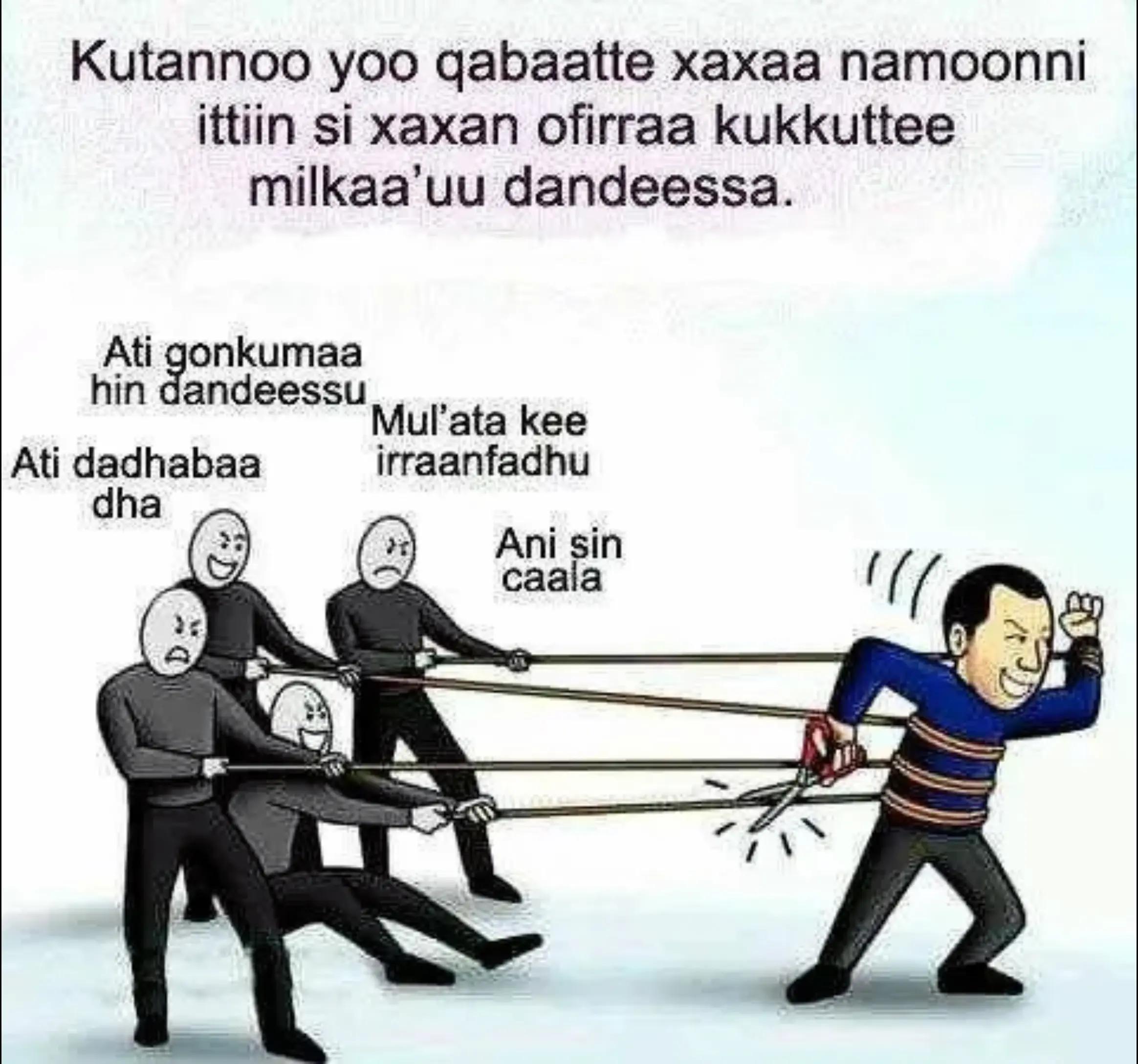 @Ramex