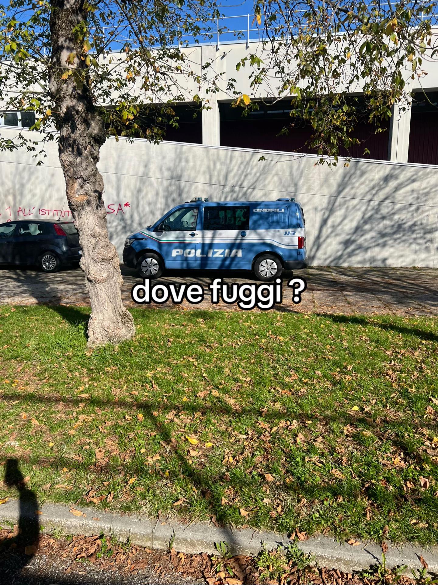 @tomm4._A