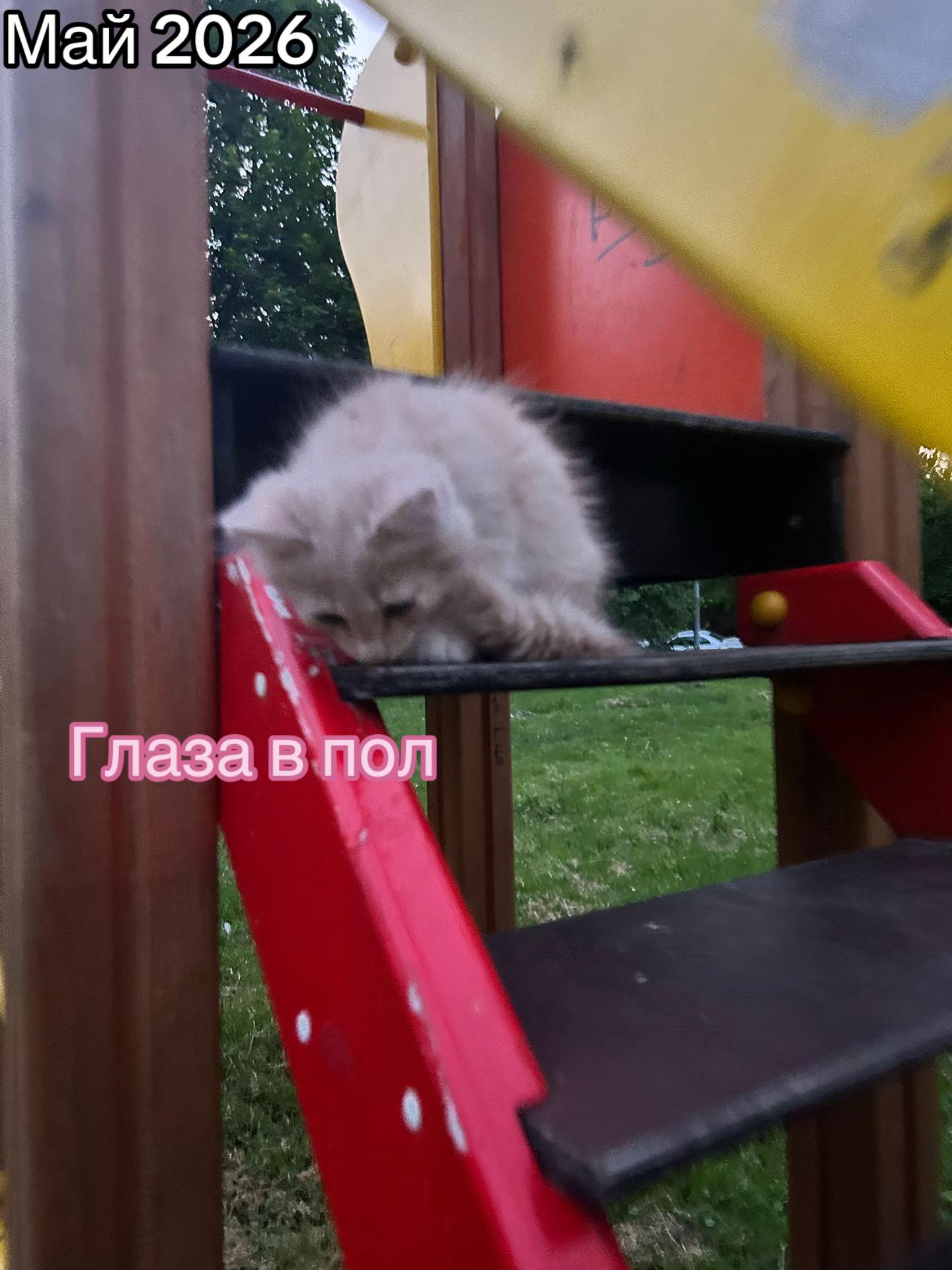 @🌸|| 𝓡𝓪𝓰𝓱𝓪𝓽𝓪||🌾