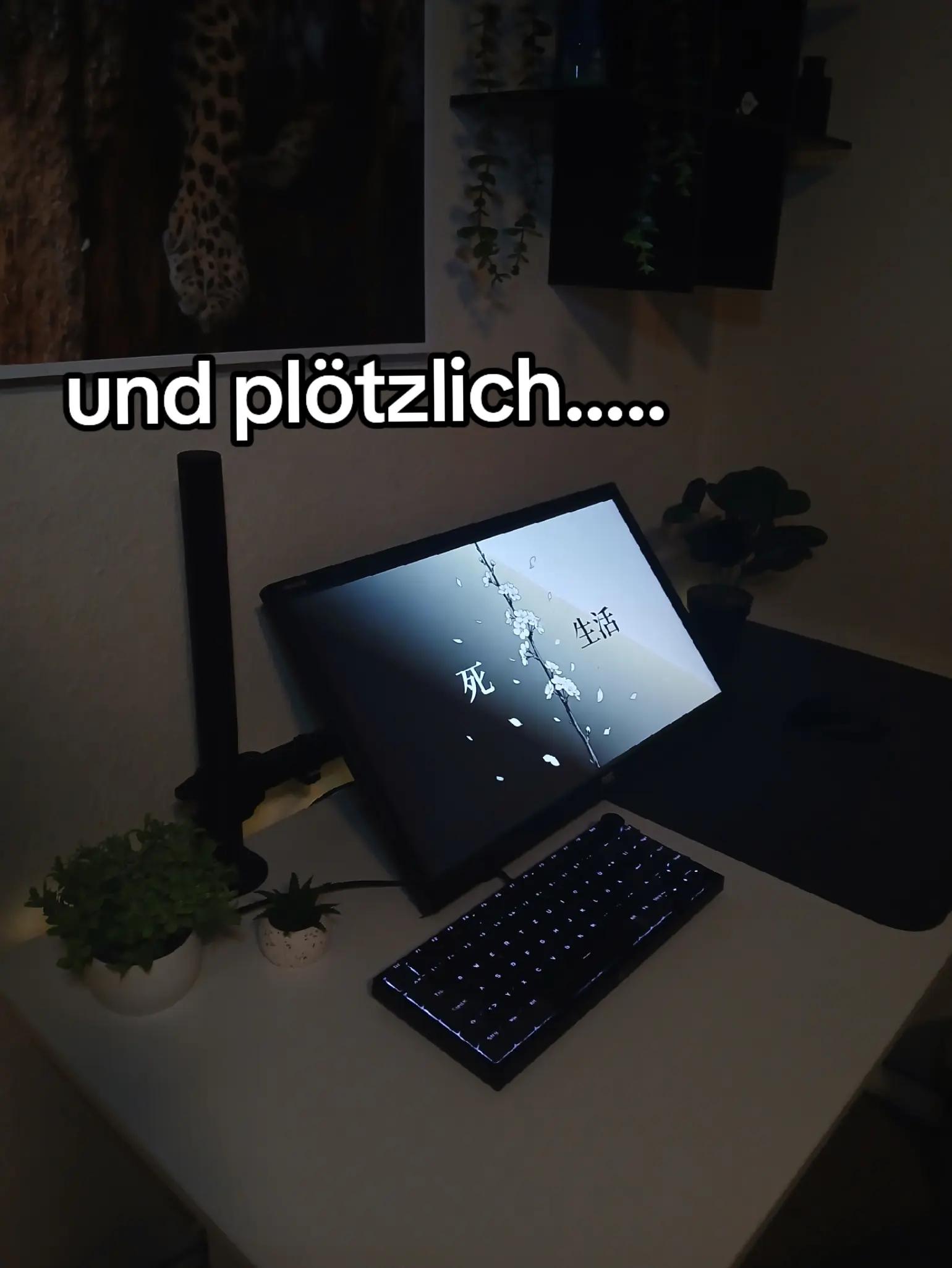 @FD|ZyRen