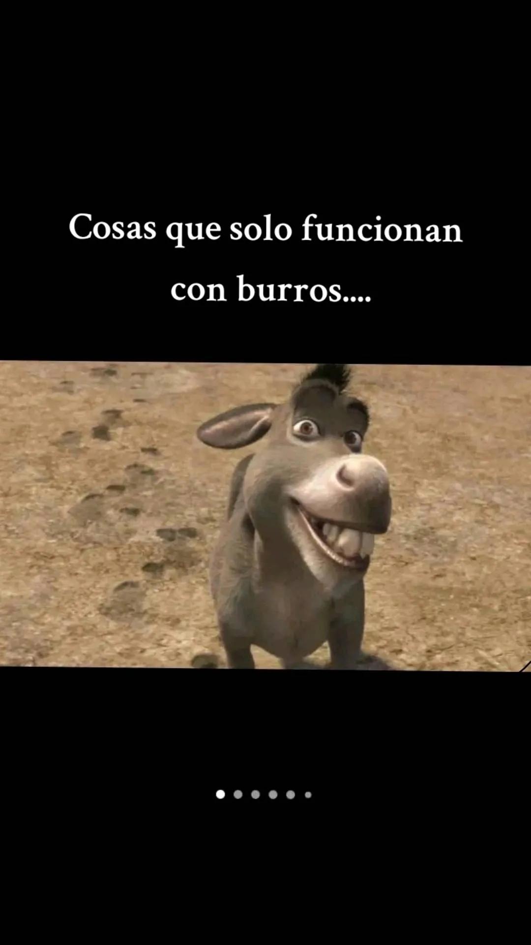 @miguel