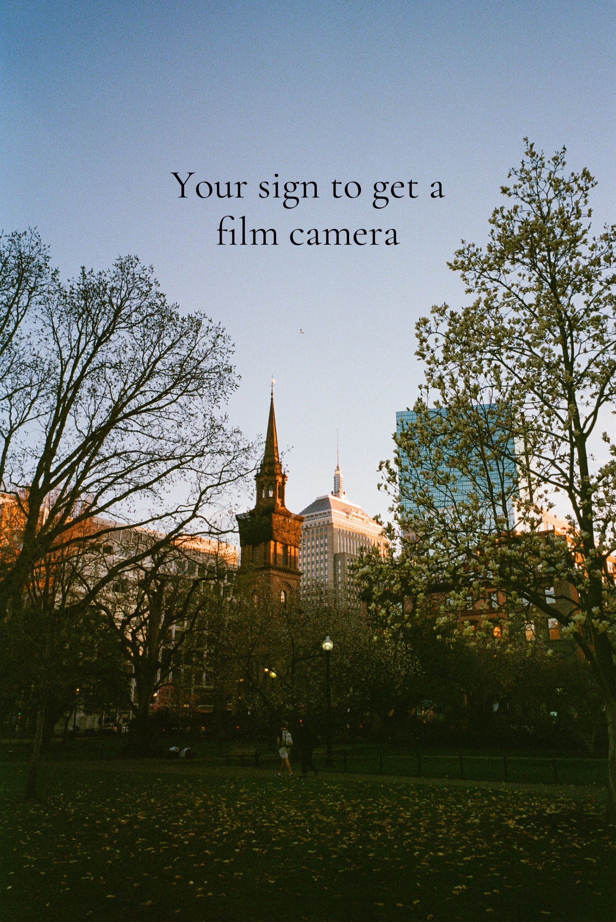 @Oscar’s Viewfinder