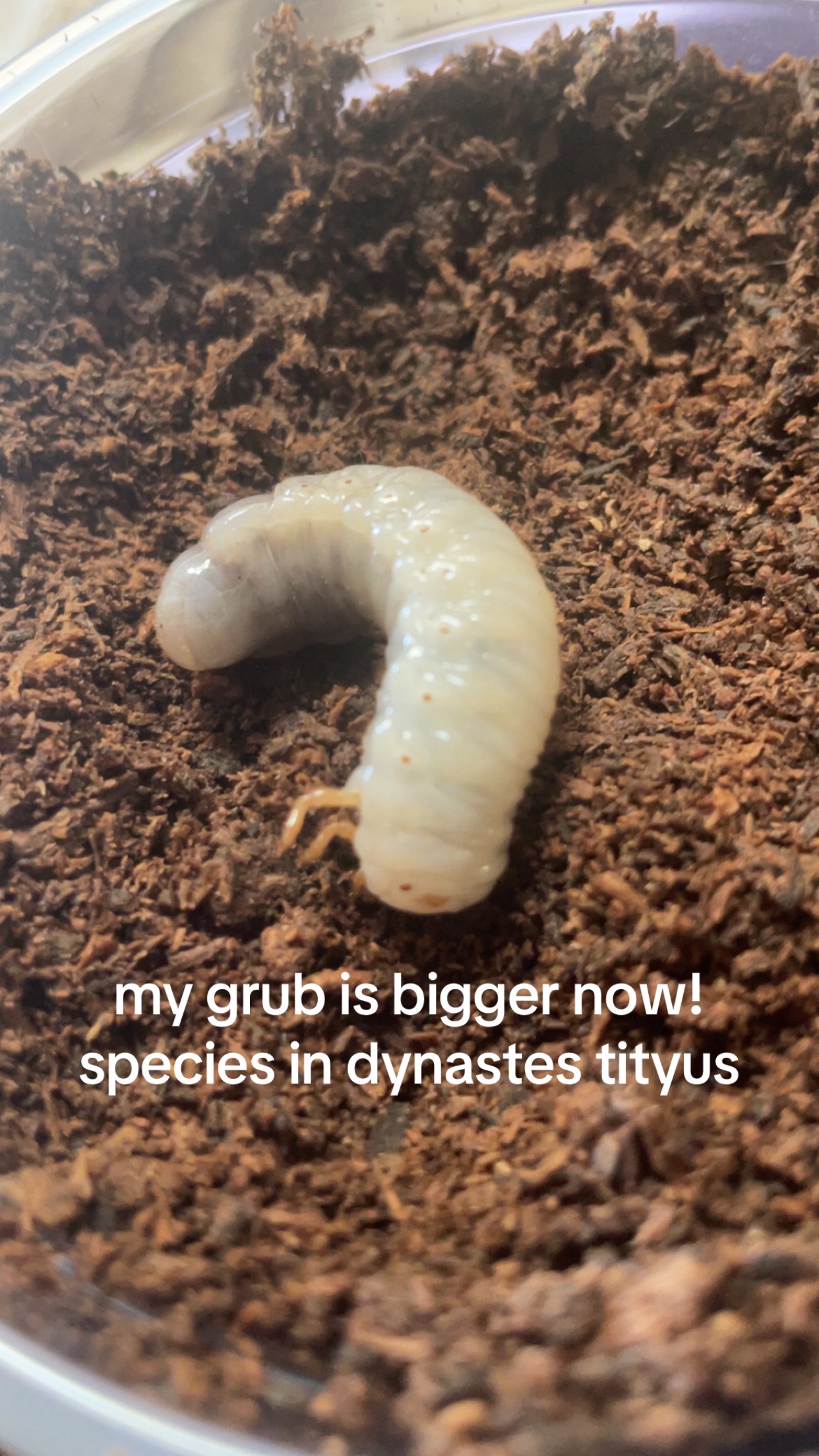 @sbuglug