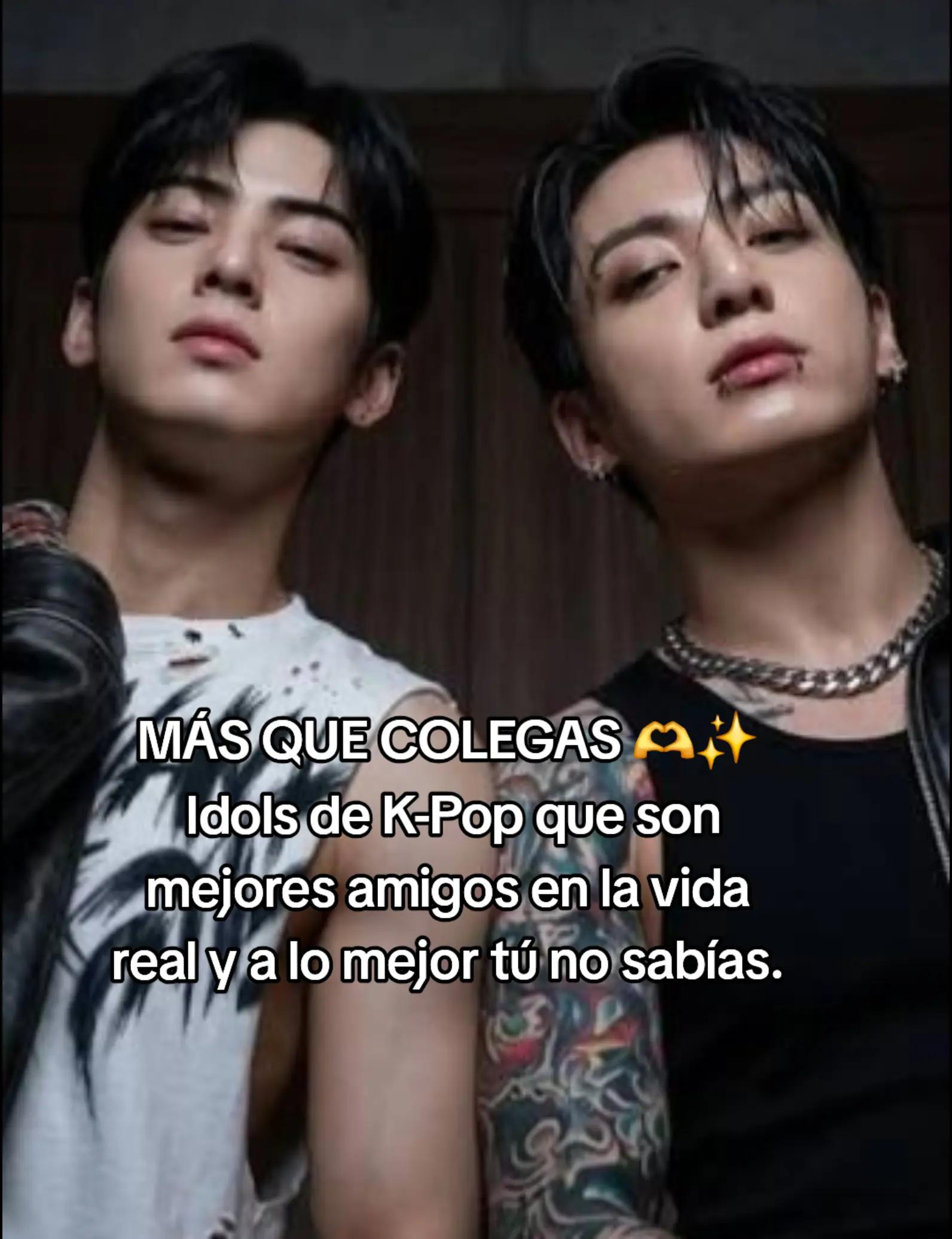 @엘리베스 o Elibeth 🤭