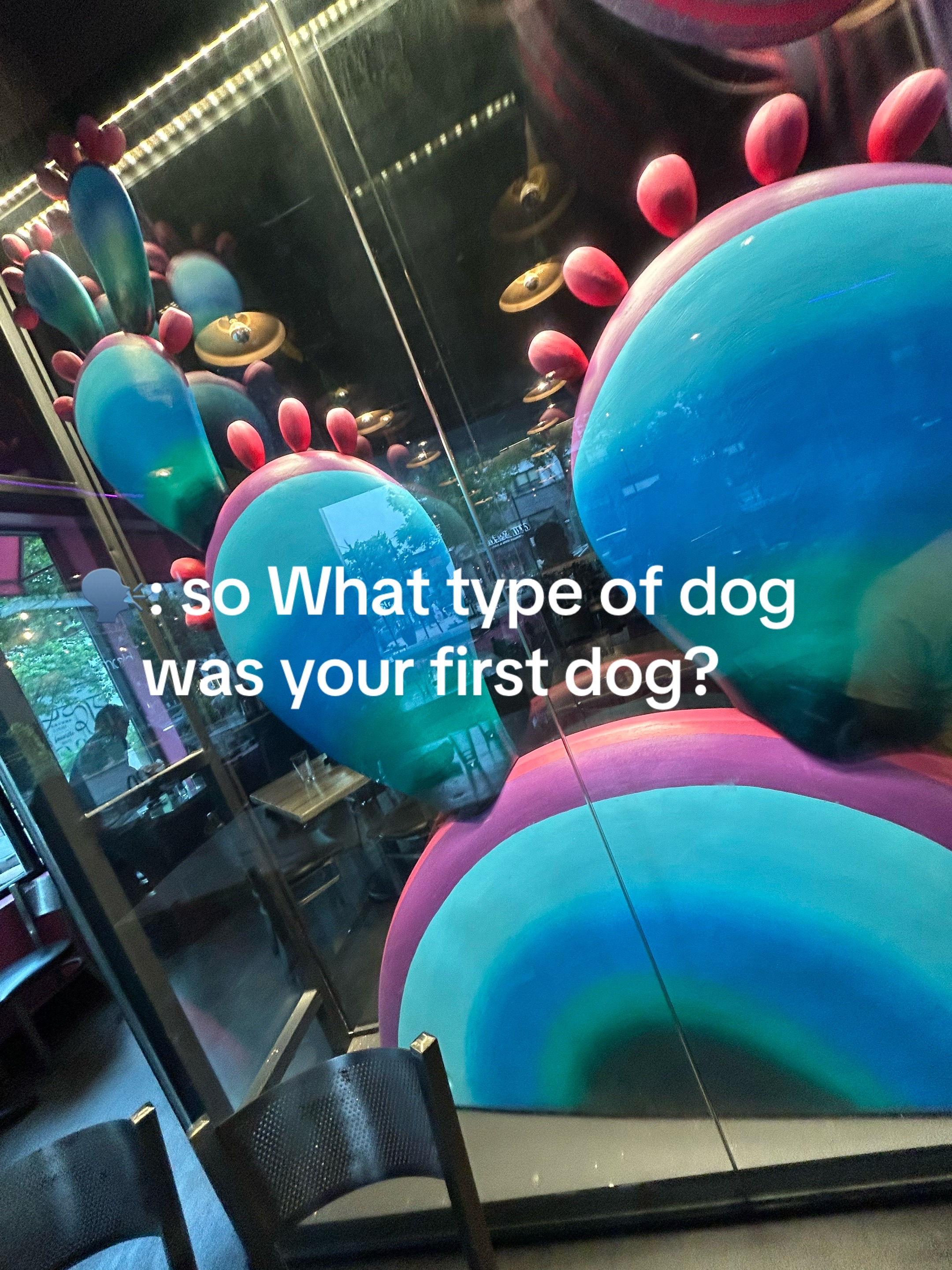 @ᥫ᭡
