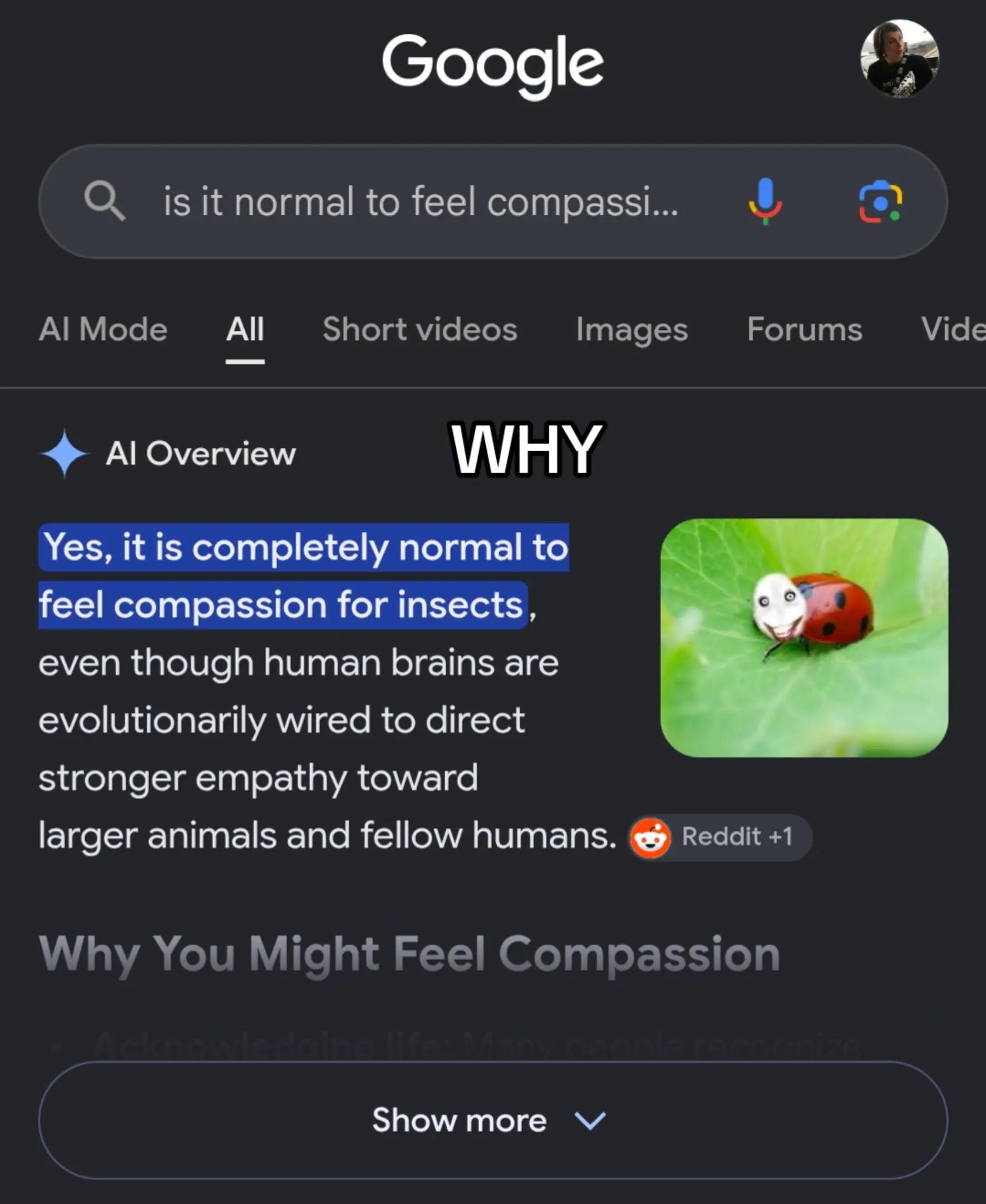 @🔥🦇꧁𝑋𝒔𝒐𝒑𝒉𝑖𝑒𝑟𝑜𝑋꧂🦇🪩