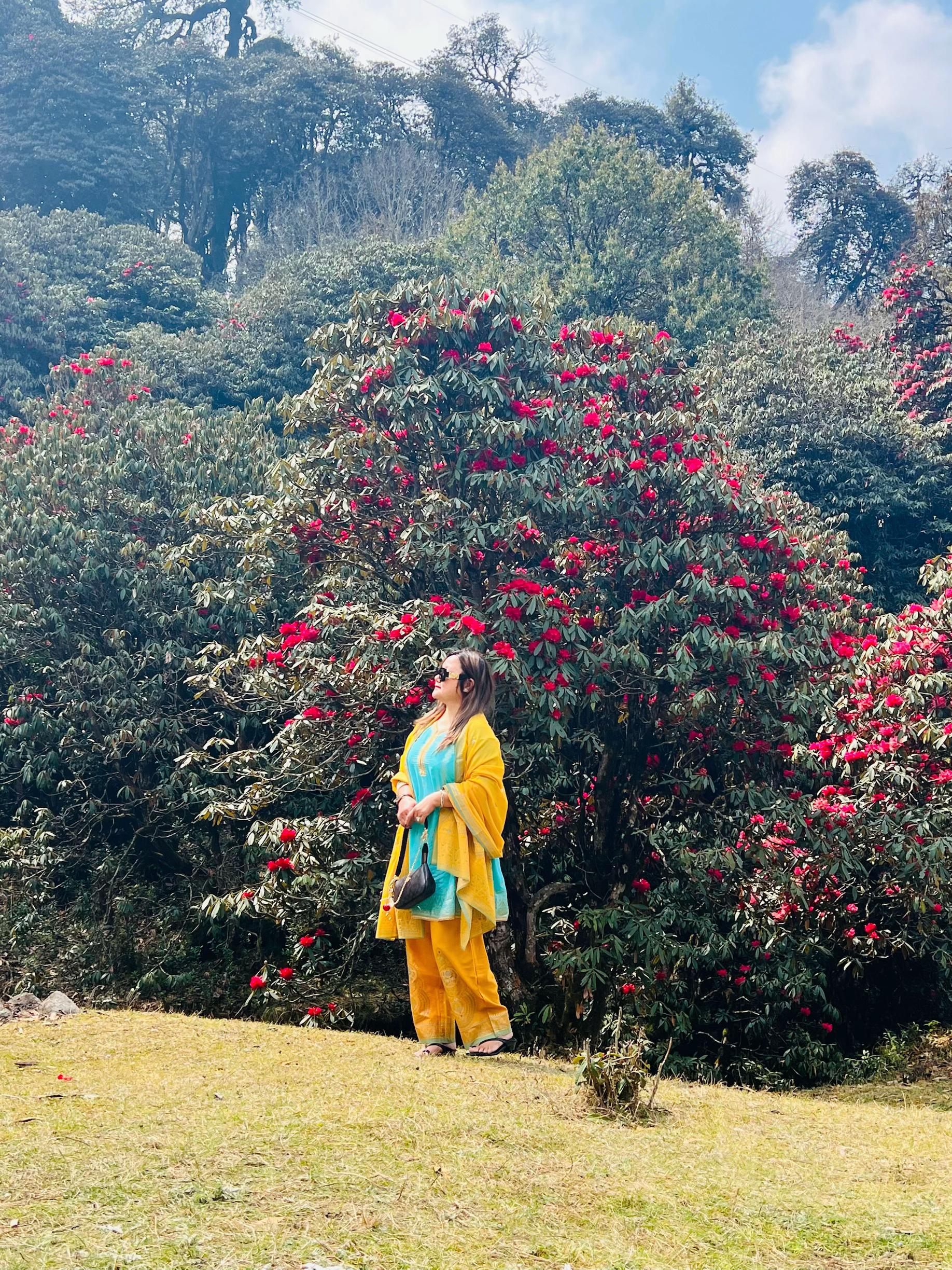 @SUBHA🇳🇵🇬🇧🧿🧿