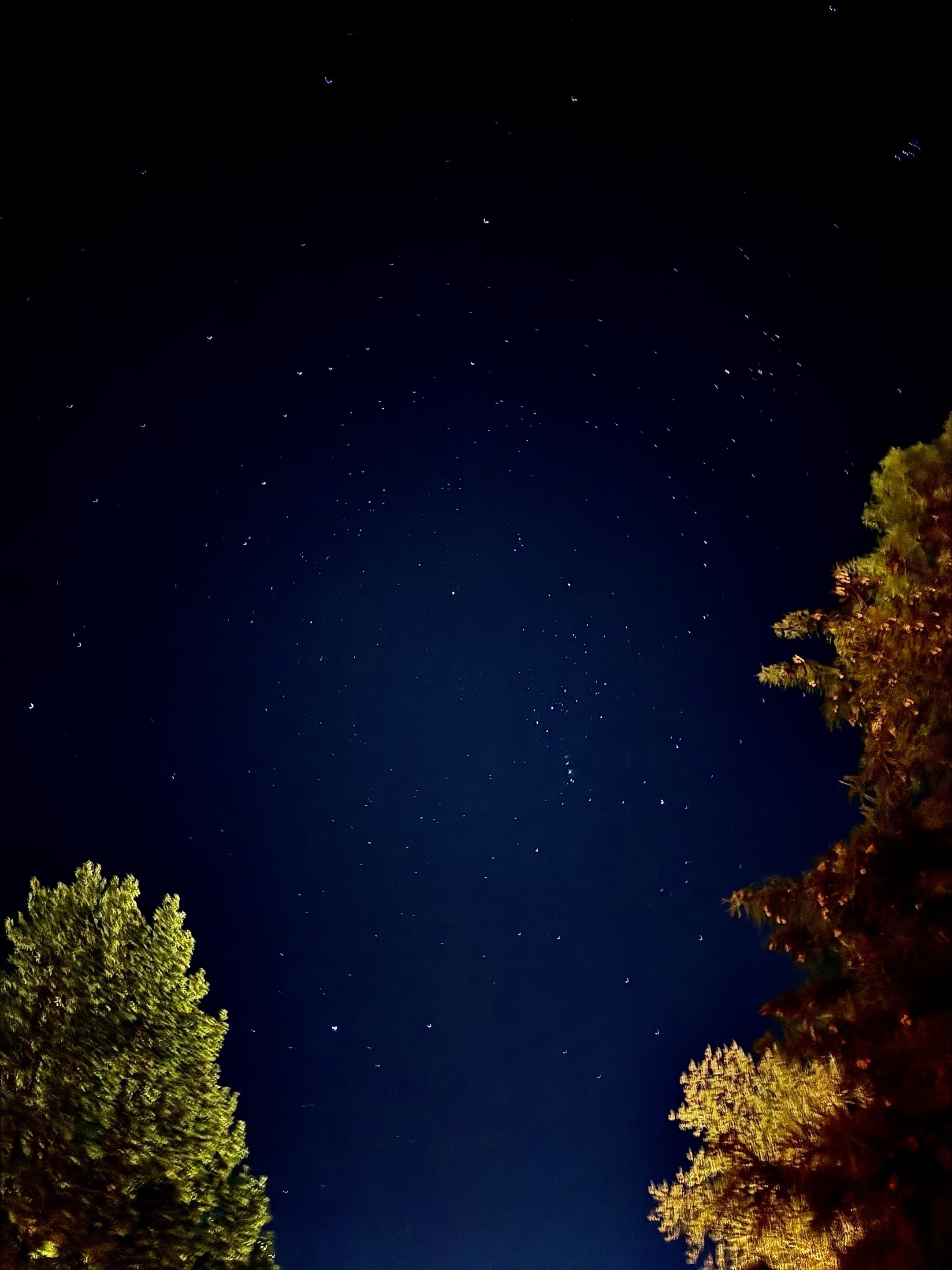 @𝓜𝓪𝔂𝓫𝓻𝓮𝓮🌙