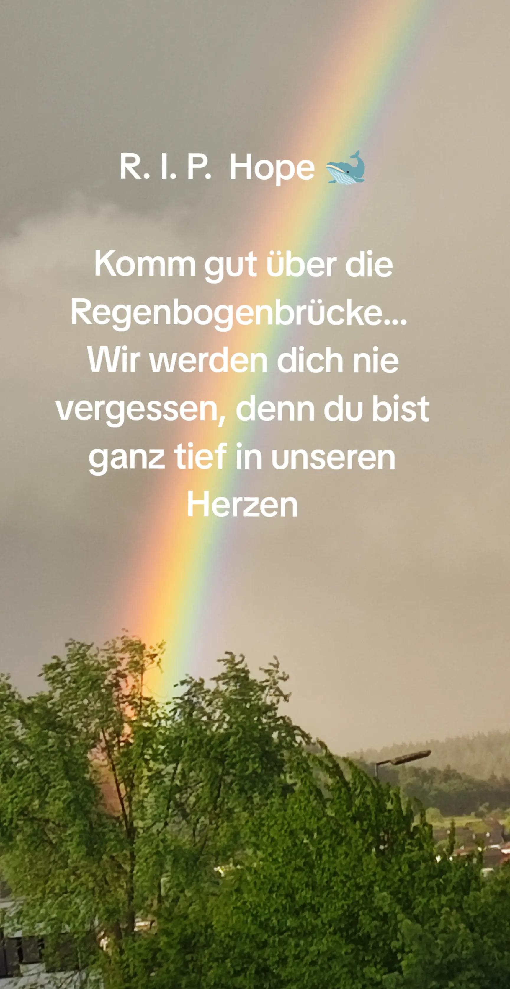 @Eiszeit