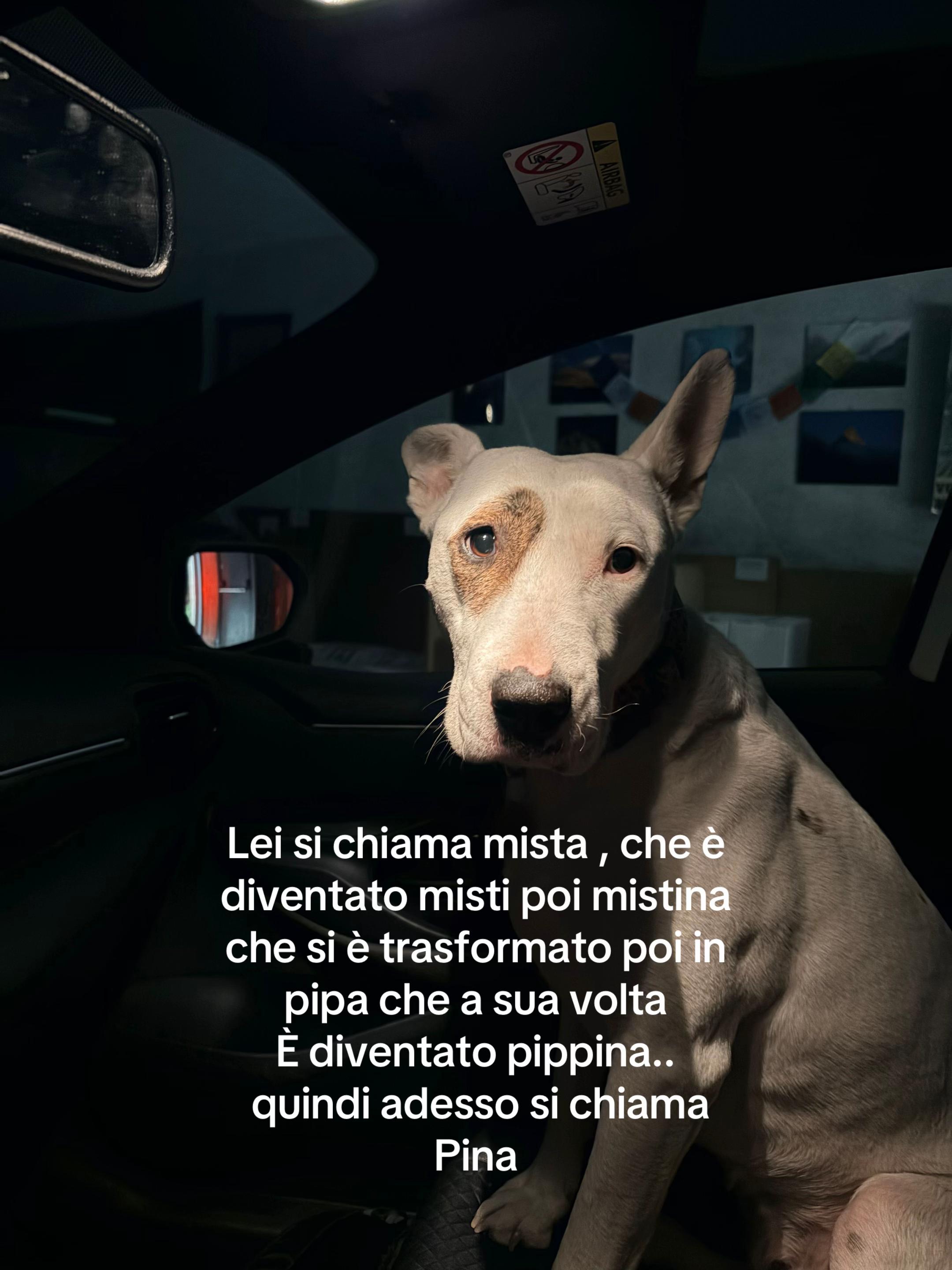 @_erusconi