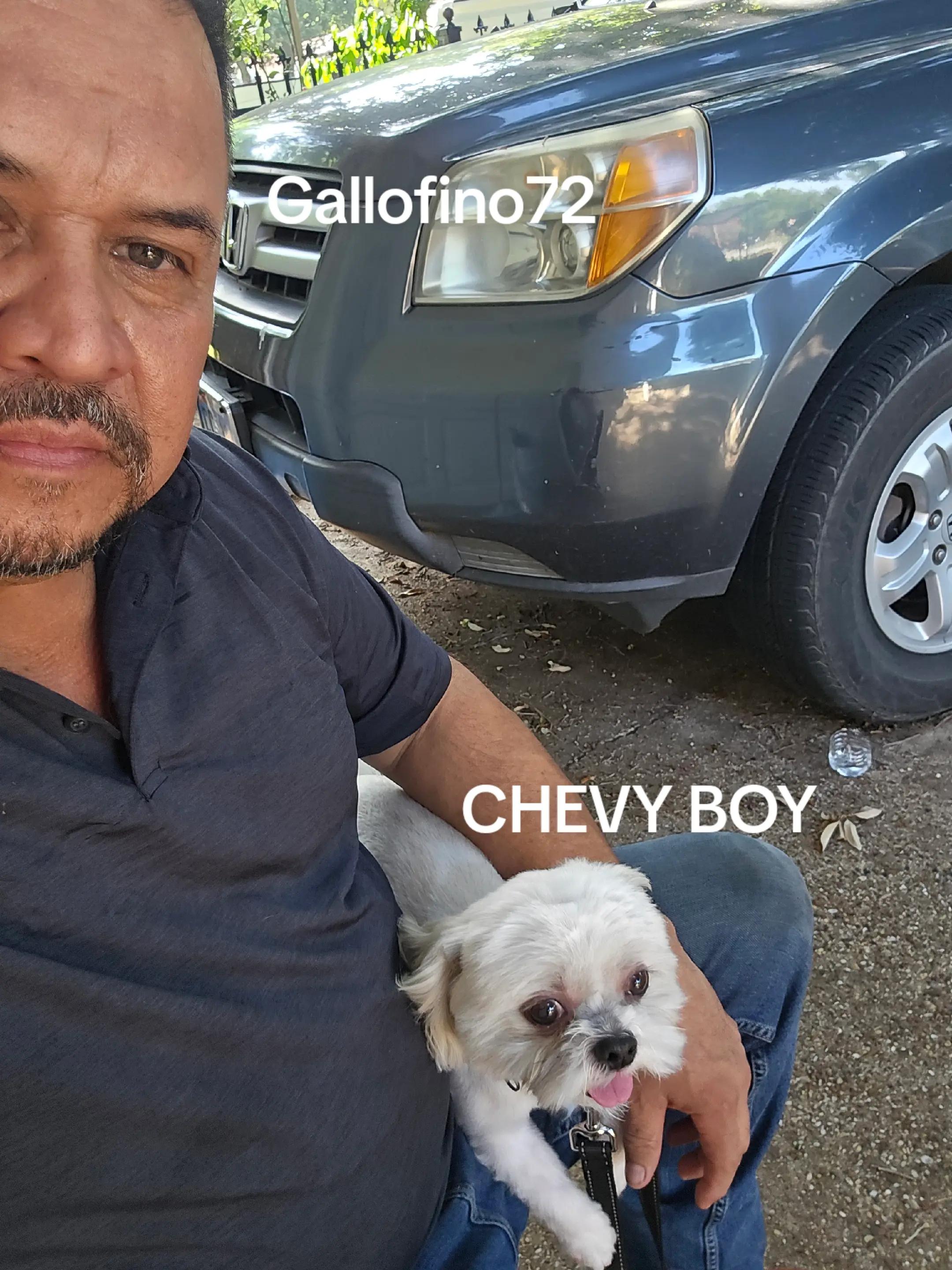 @ElGalloFino