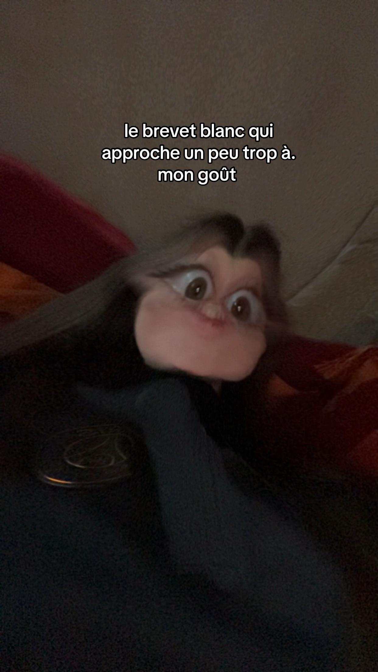 @Faustine 😝
