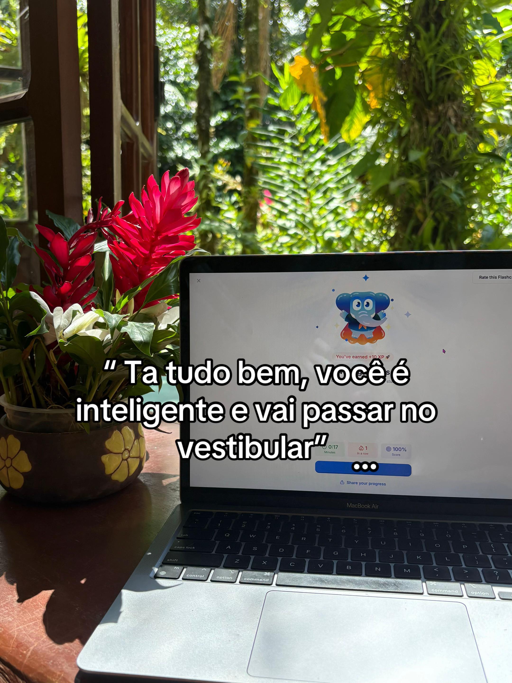 @anarotinadeestudosenem