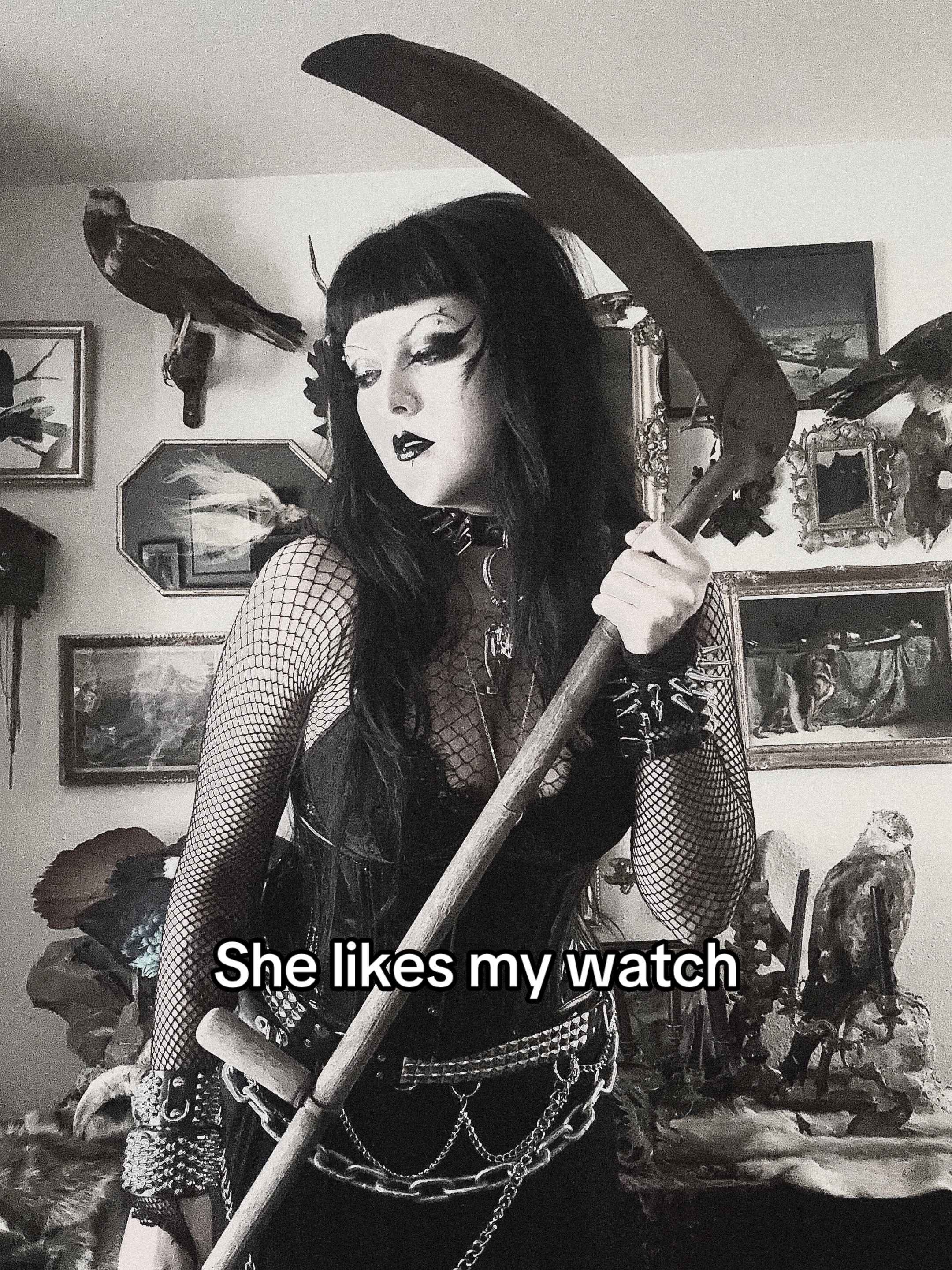 @XlycanbloodXx 𓃦