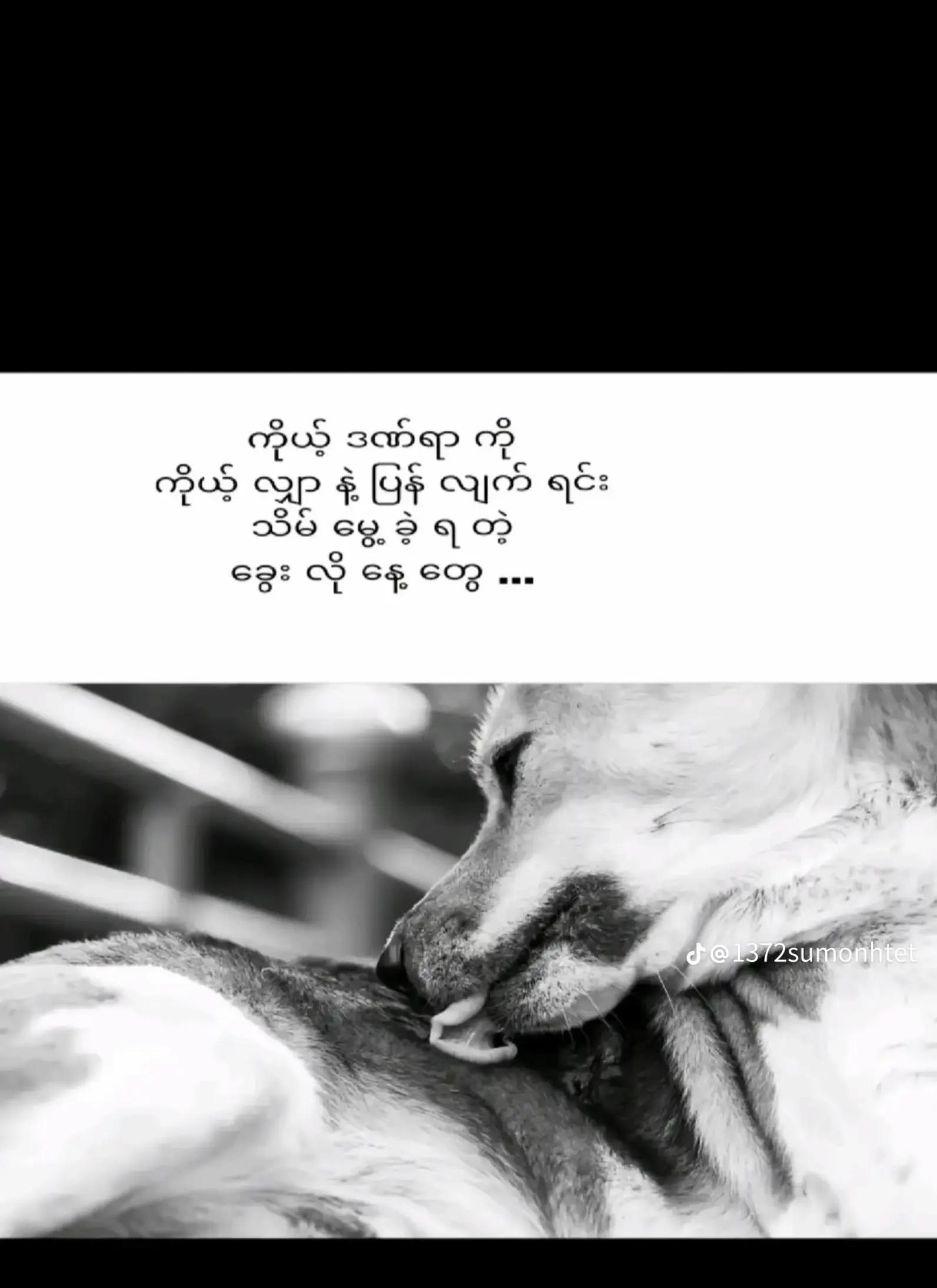 @user00725896311