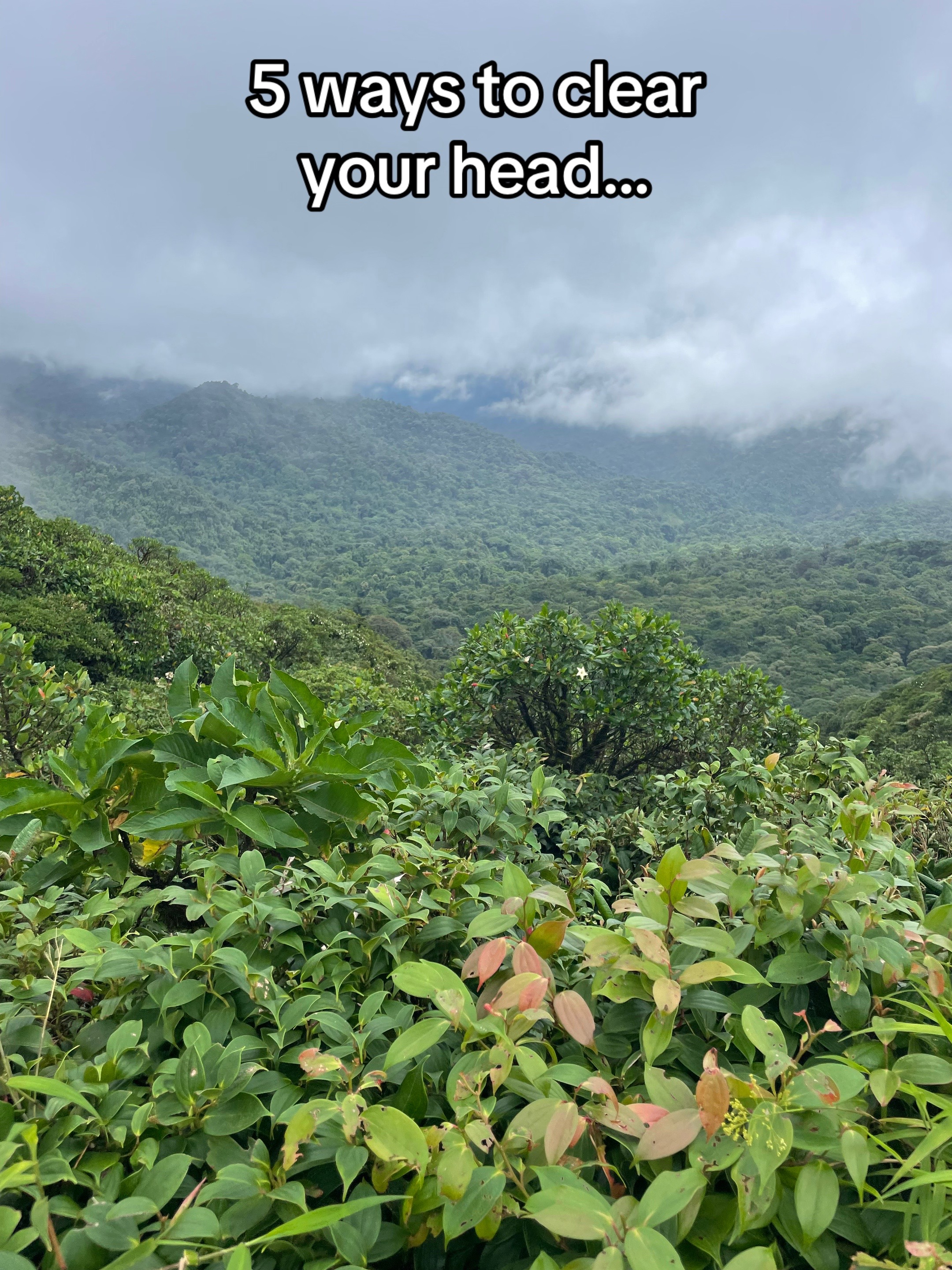 @𝒸𝑒𝑒𝓏