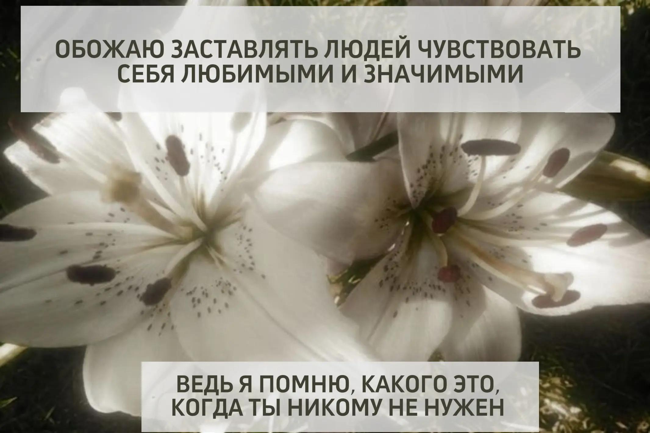 @лупикал