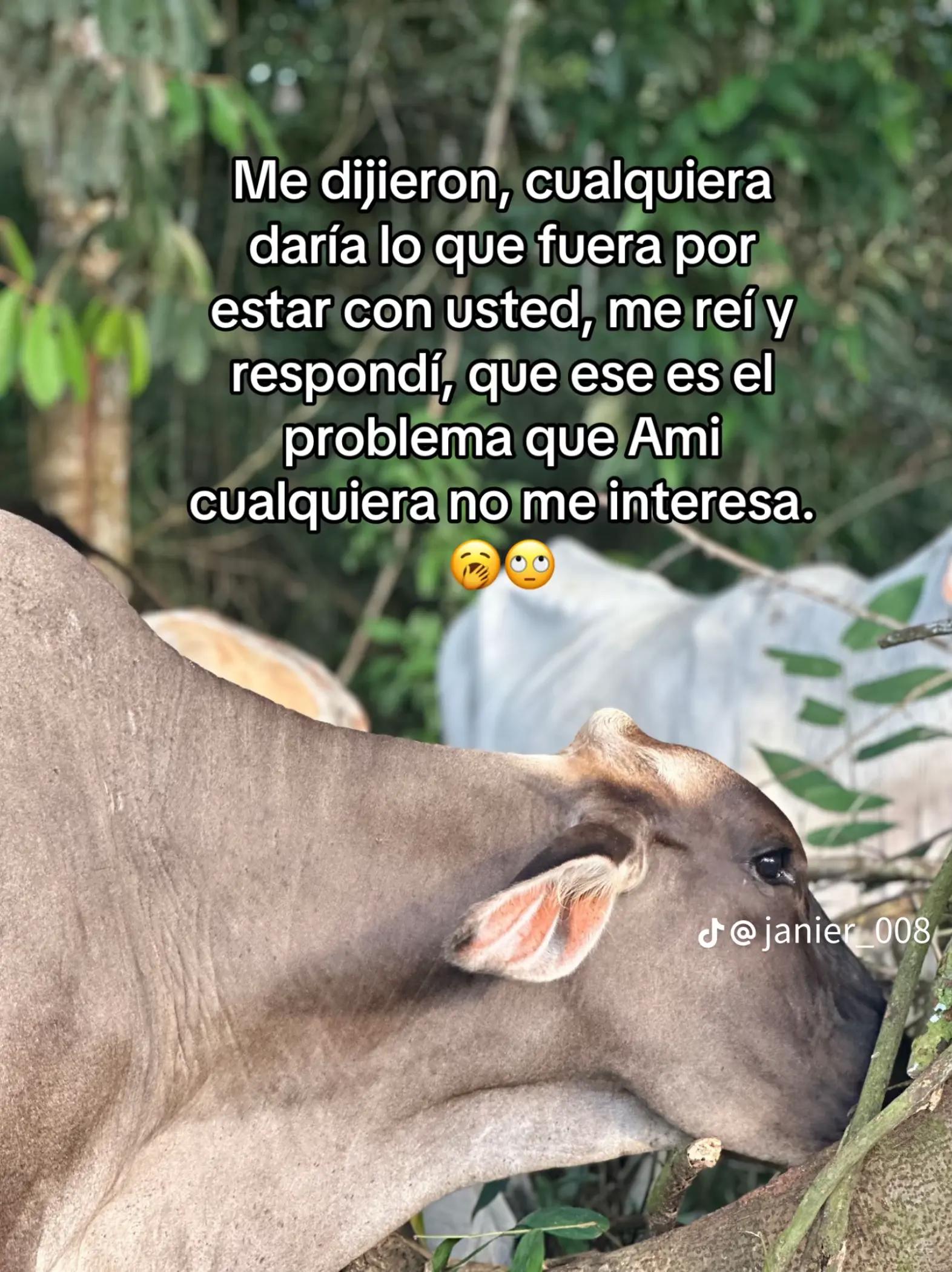 @🍀Arcos 🍀🧎&zwj;♂️🍁🦅🎹🇲🇽