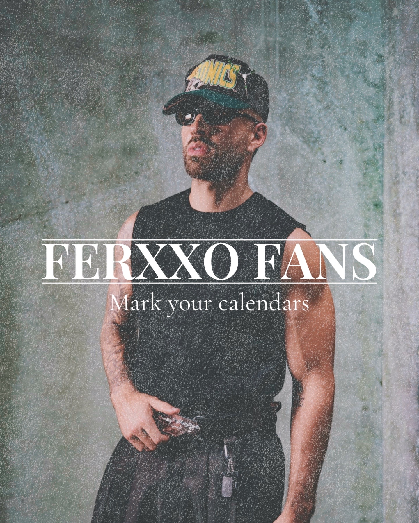 @Flako Fitteds