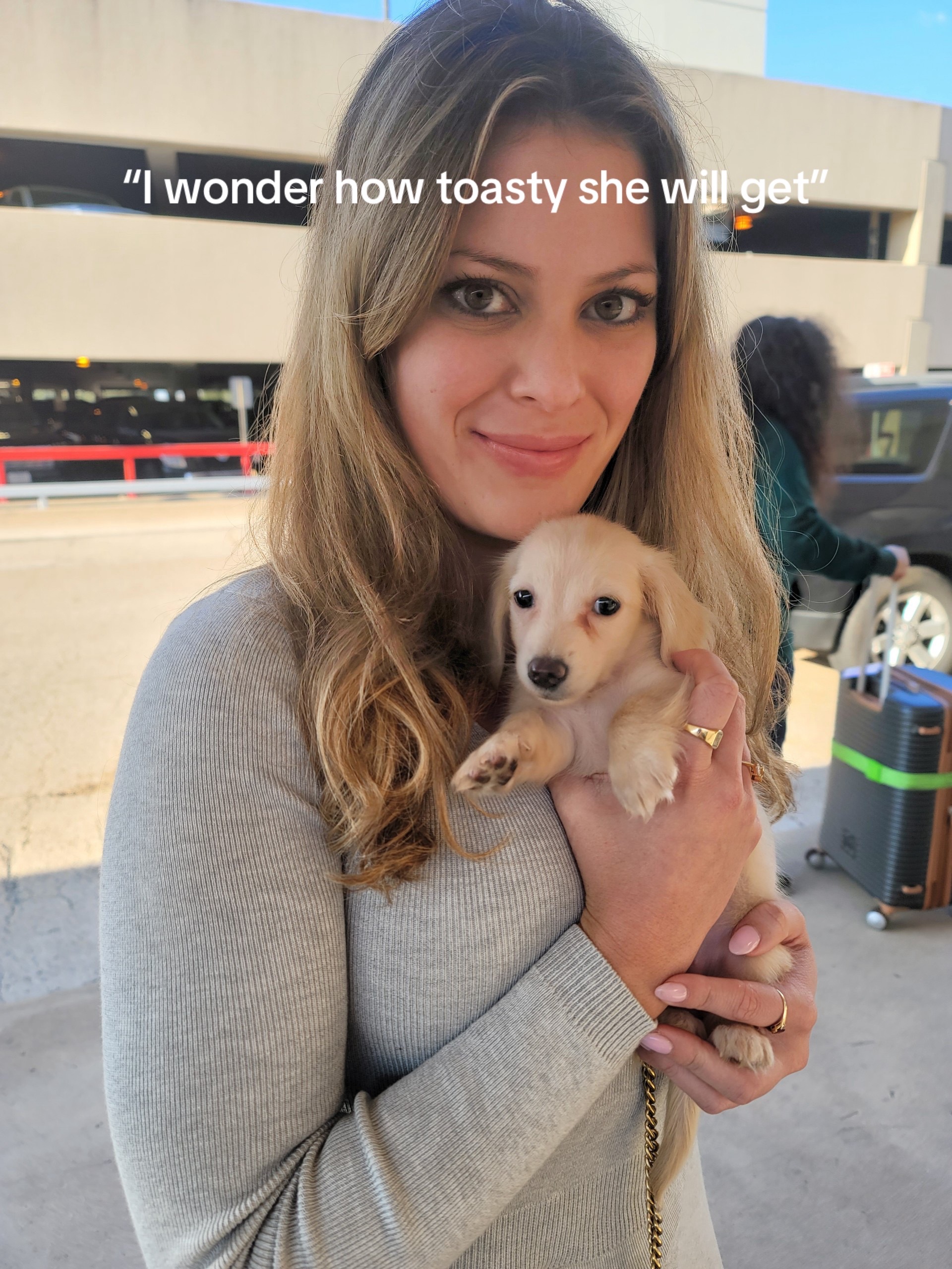 @Bisou 🤍 Cream Mini Dachshund