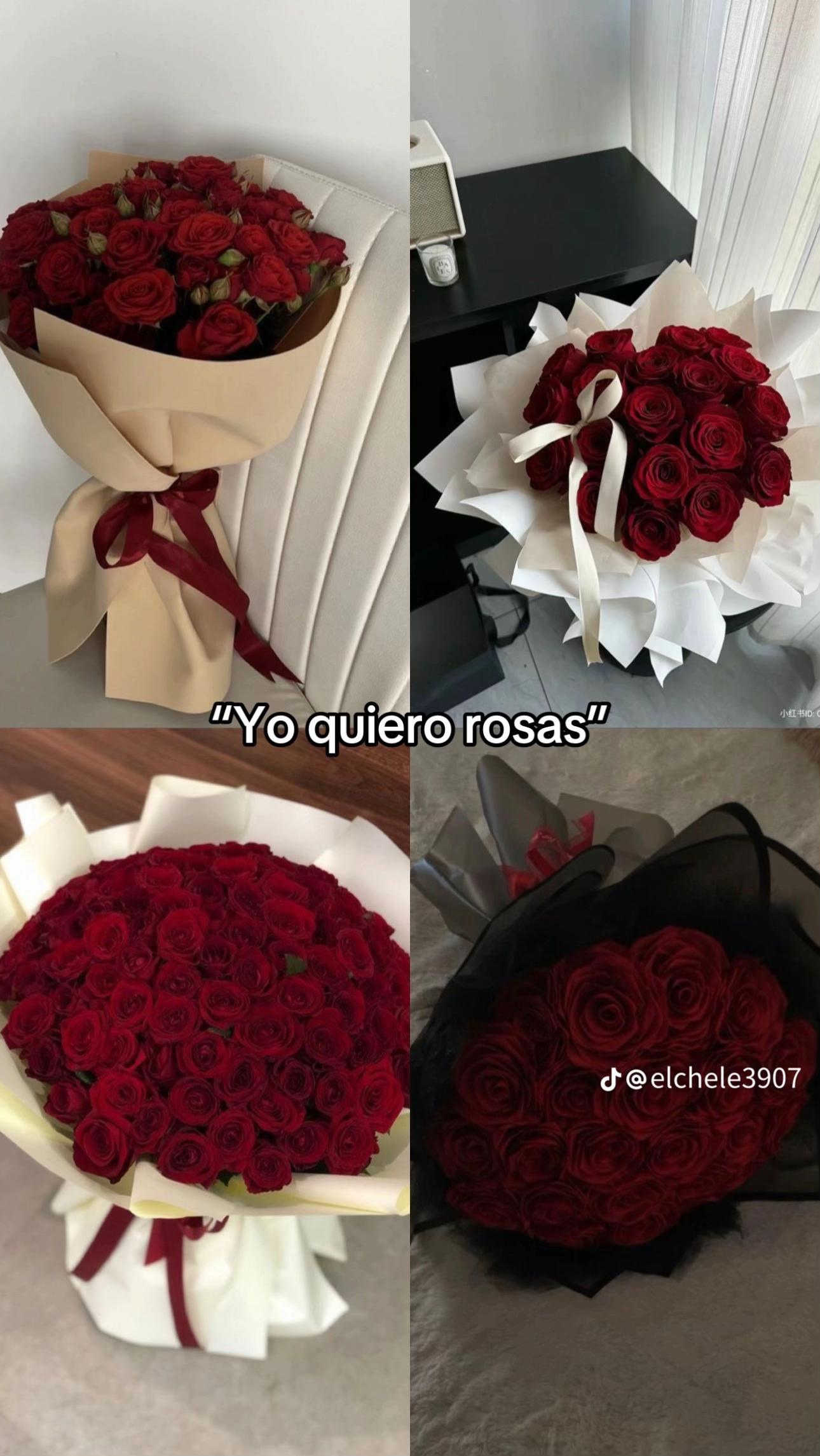 @Laysha Colón 🦋