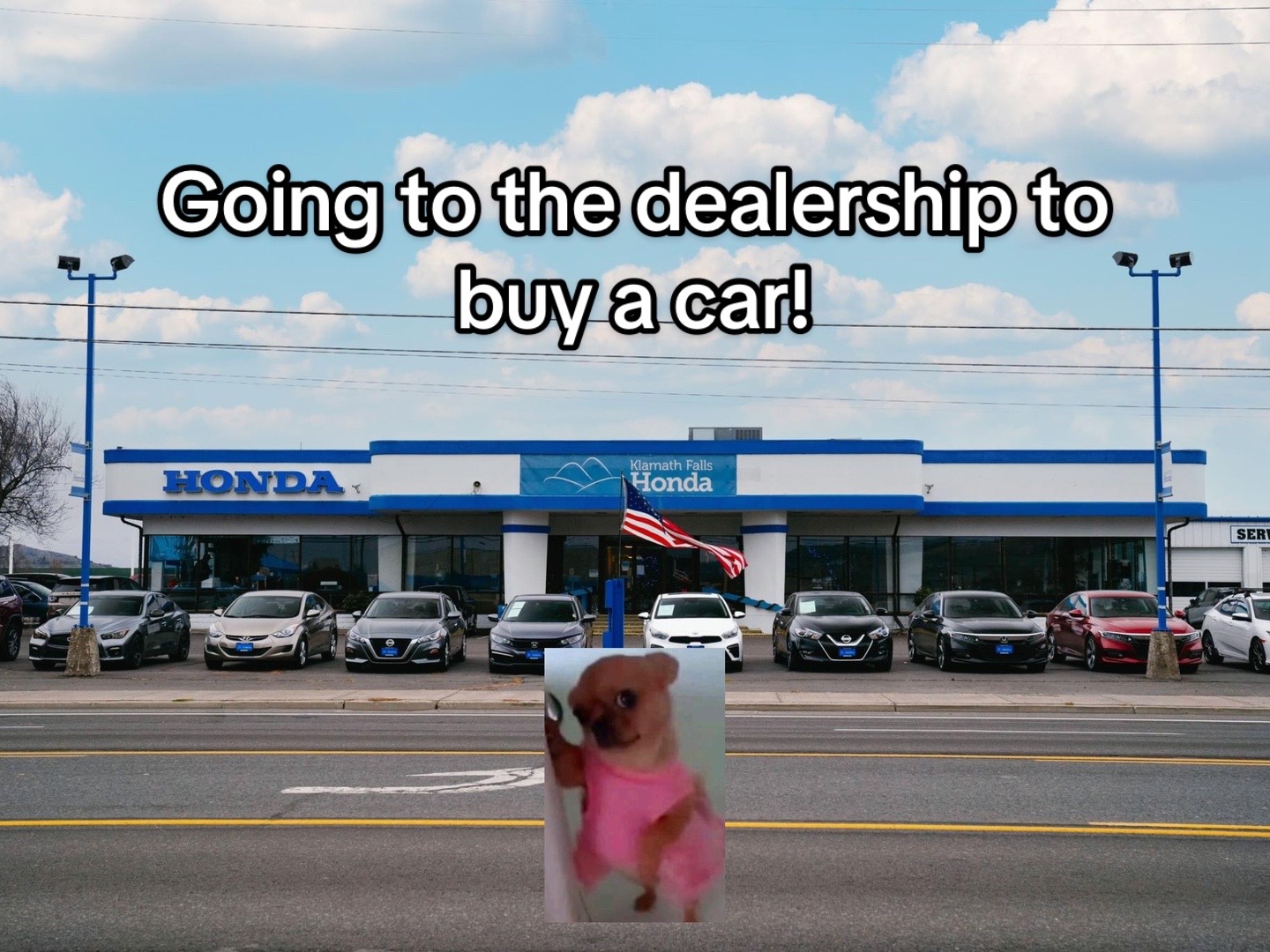 @KFalls Honda and Subaru 🚙