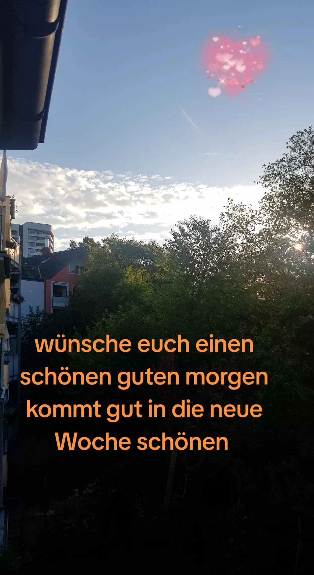 @stefangeilhausen3