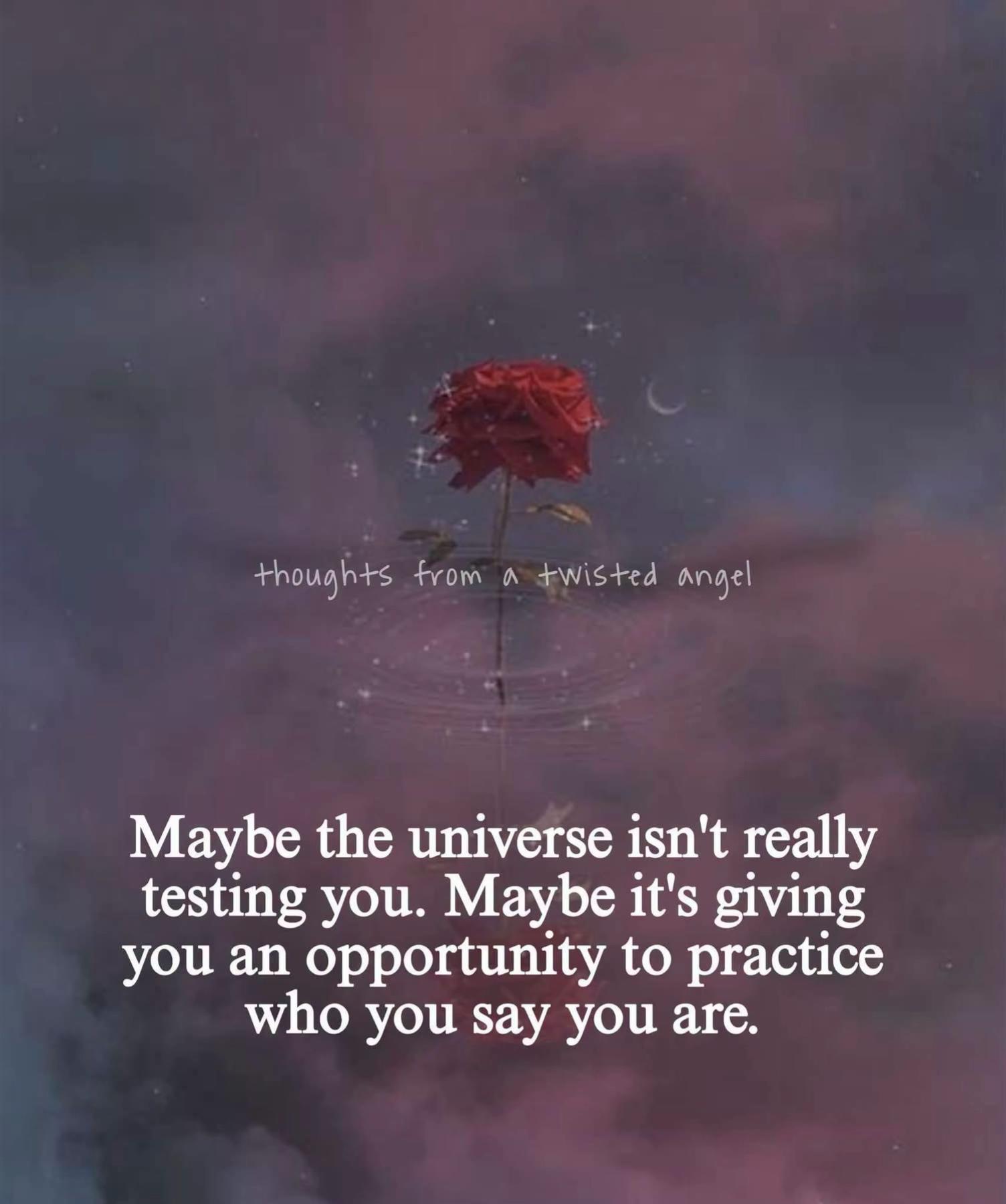@Tracy Newton 2222🙏🏻✨💜🦋