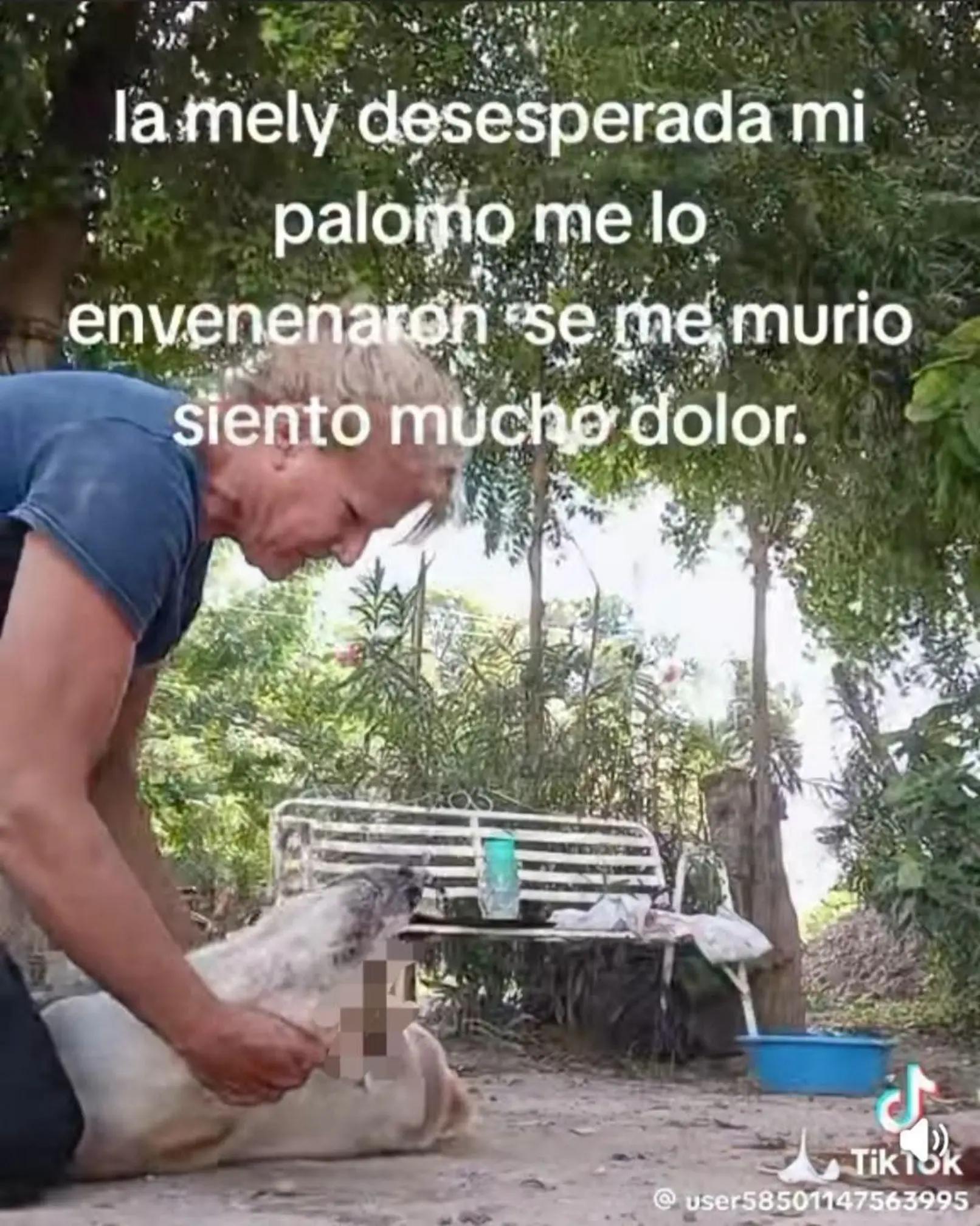 @varcan❤️