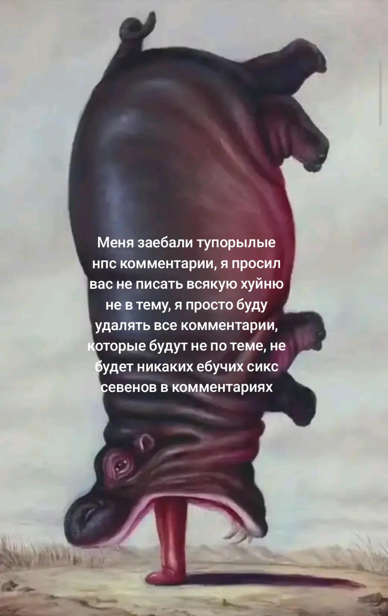 @Salovich