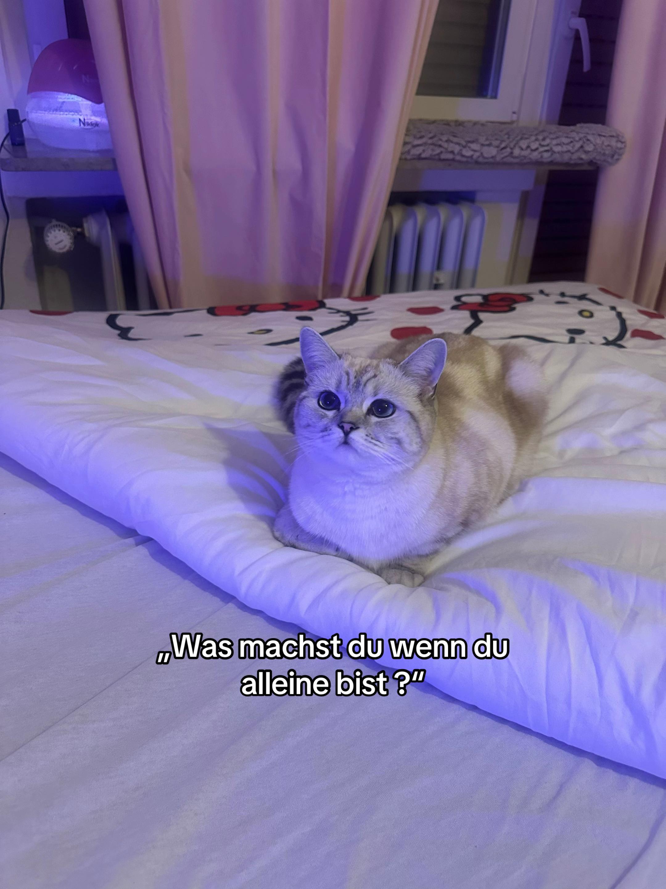 @Tatjana