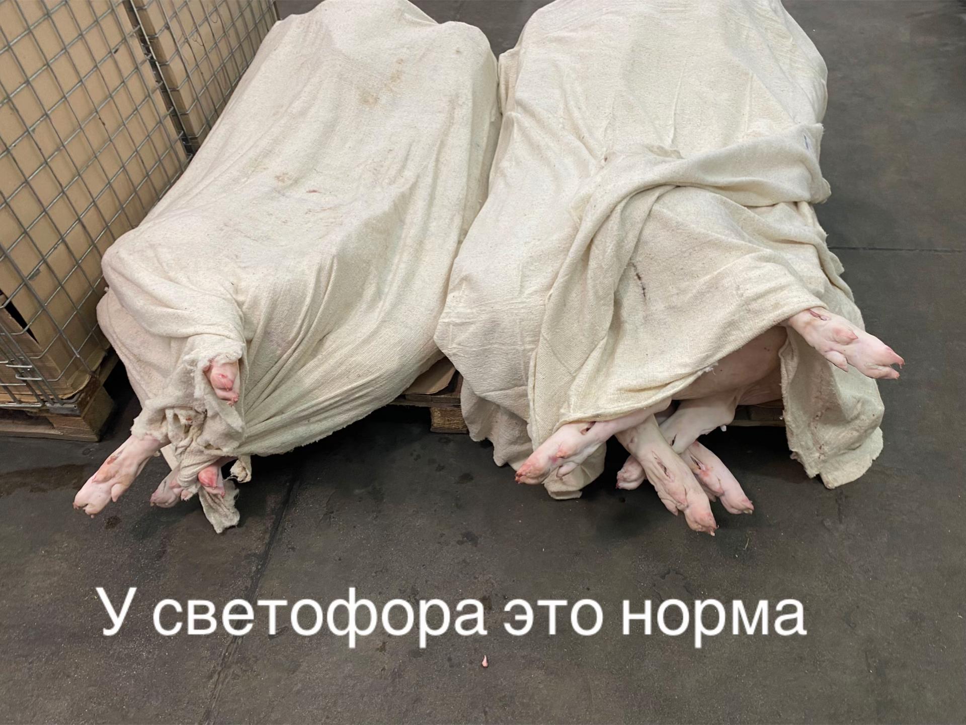 @Мини Vladiva