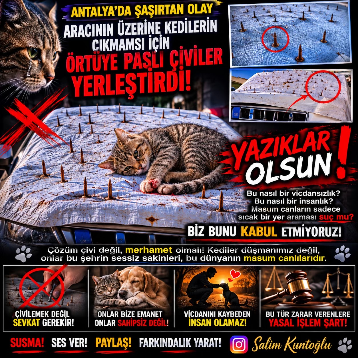 @Salim Kuntoğlu