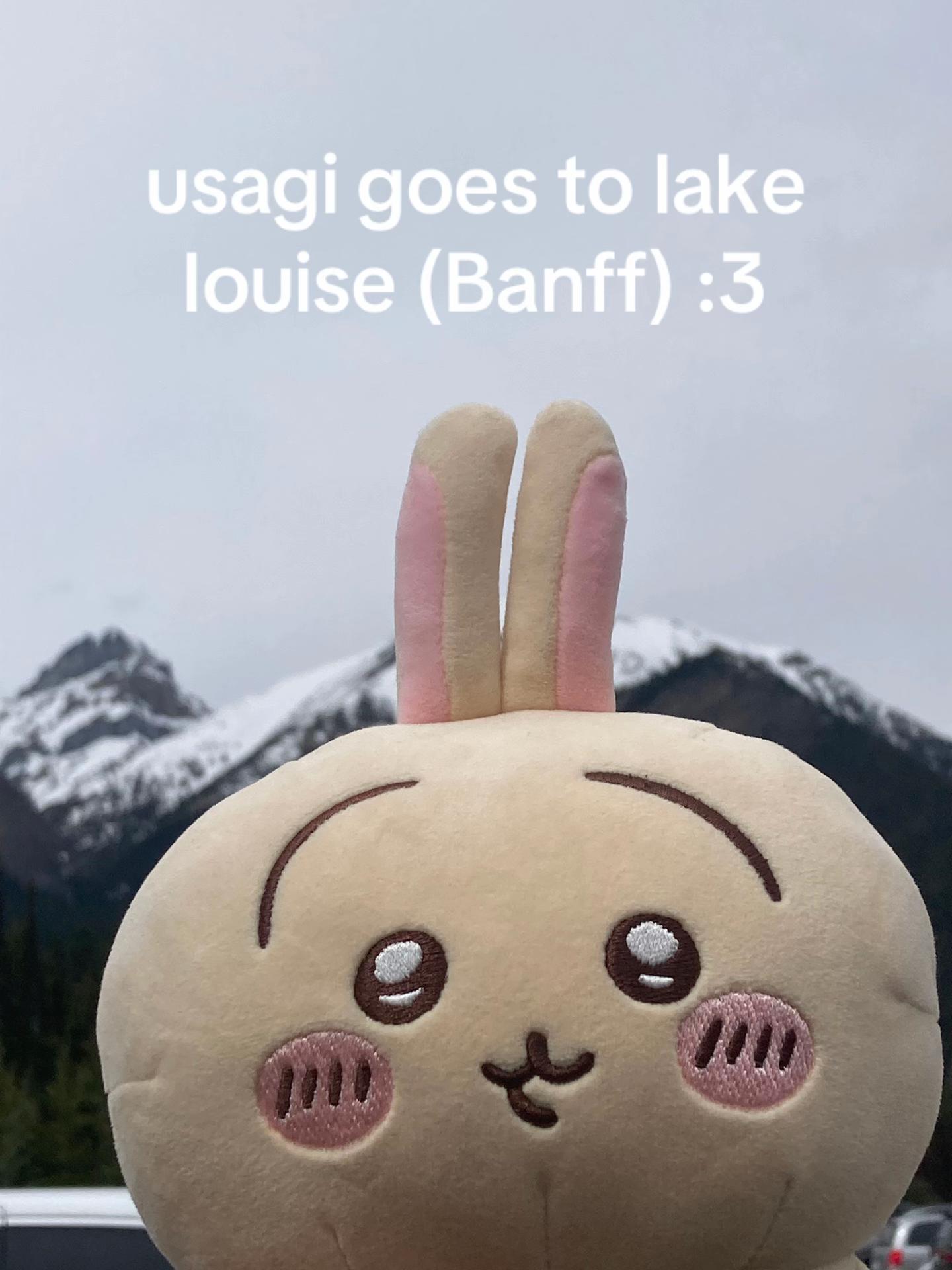 @Grimm