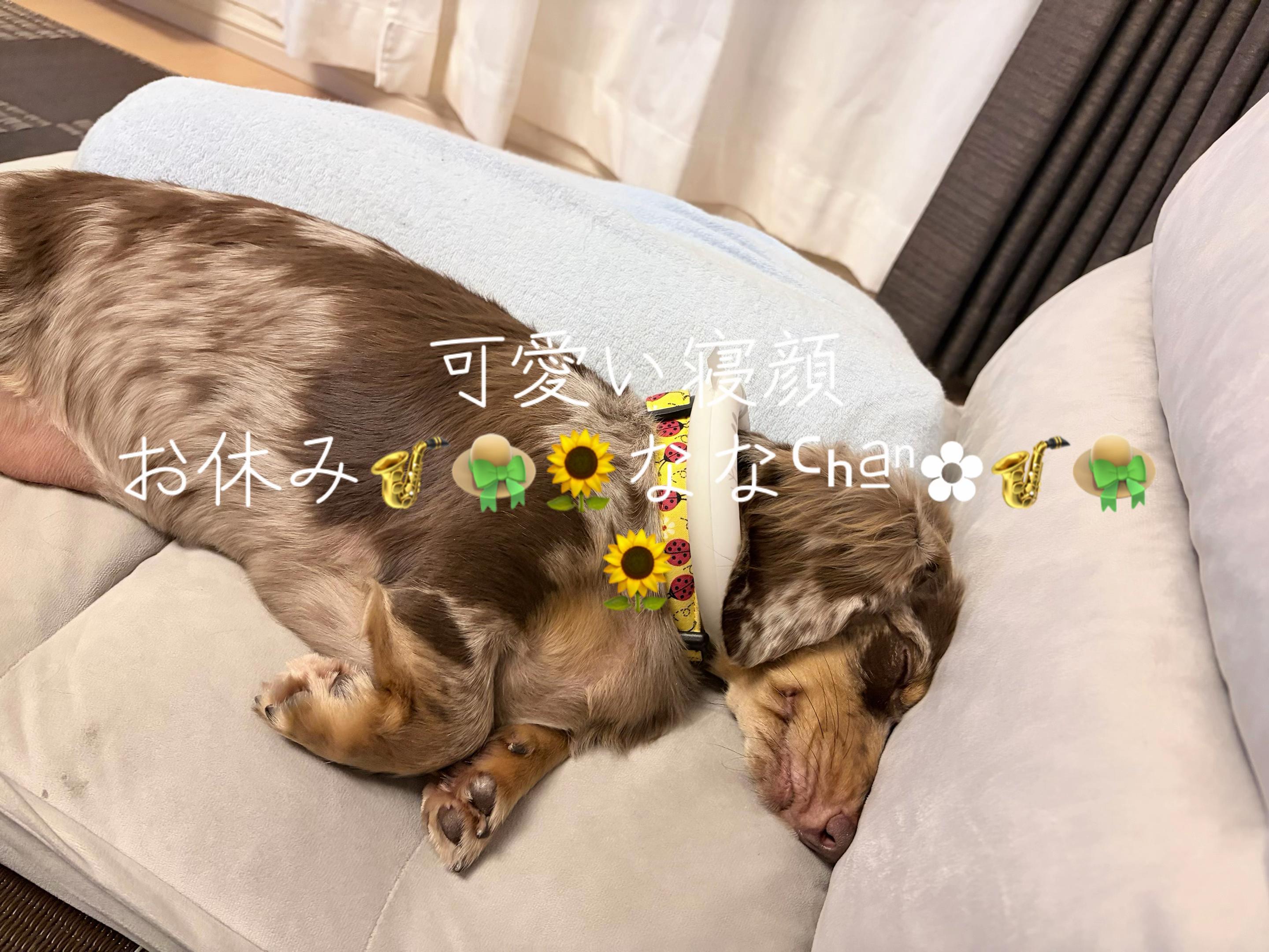 @ケン