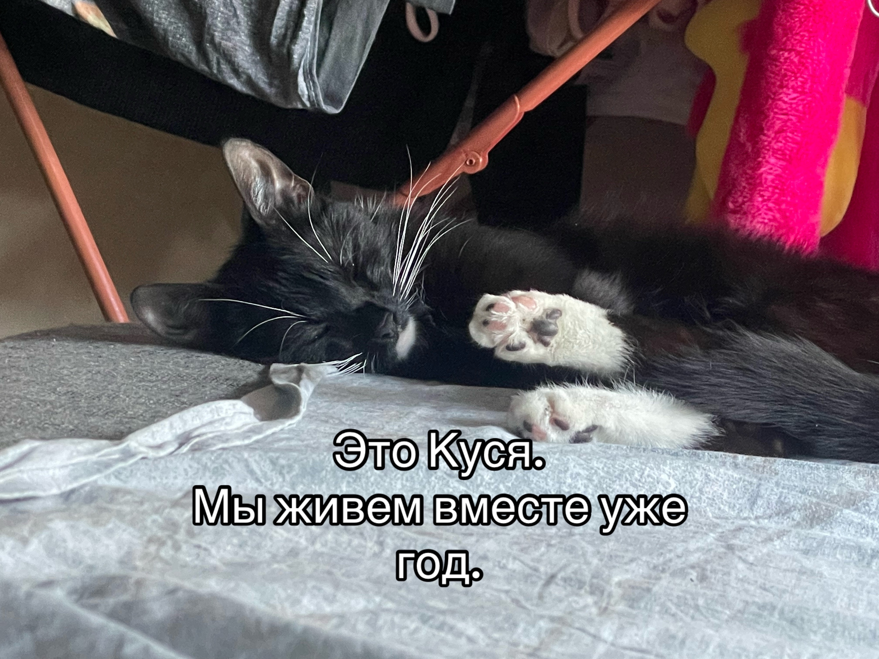 @milli_sontana