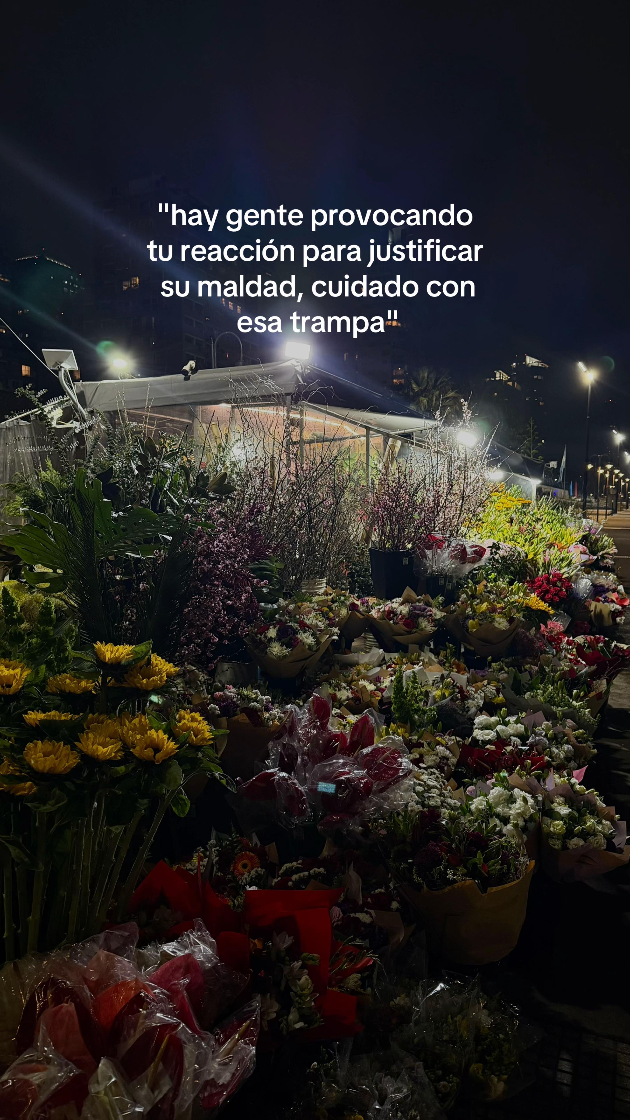 @Mai Trubiano