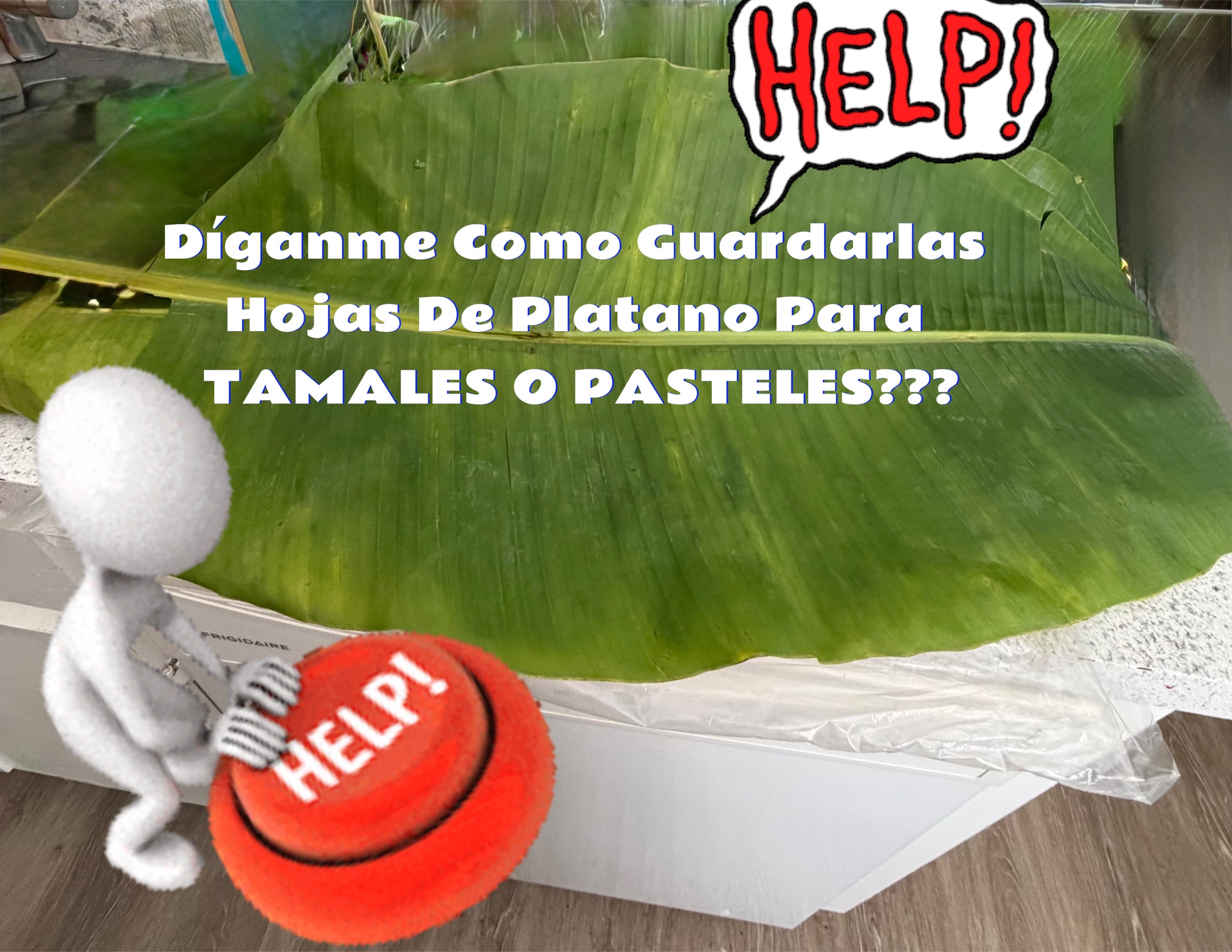 @Dámaris