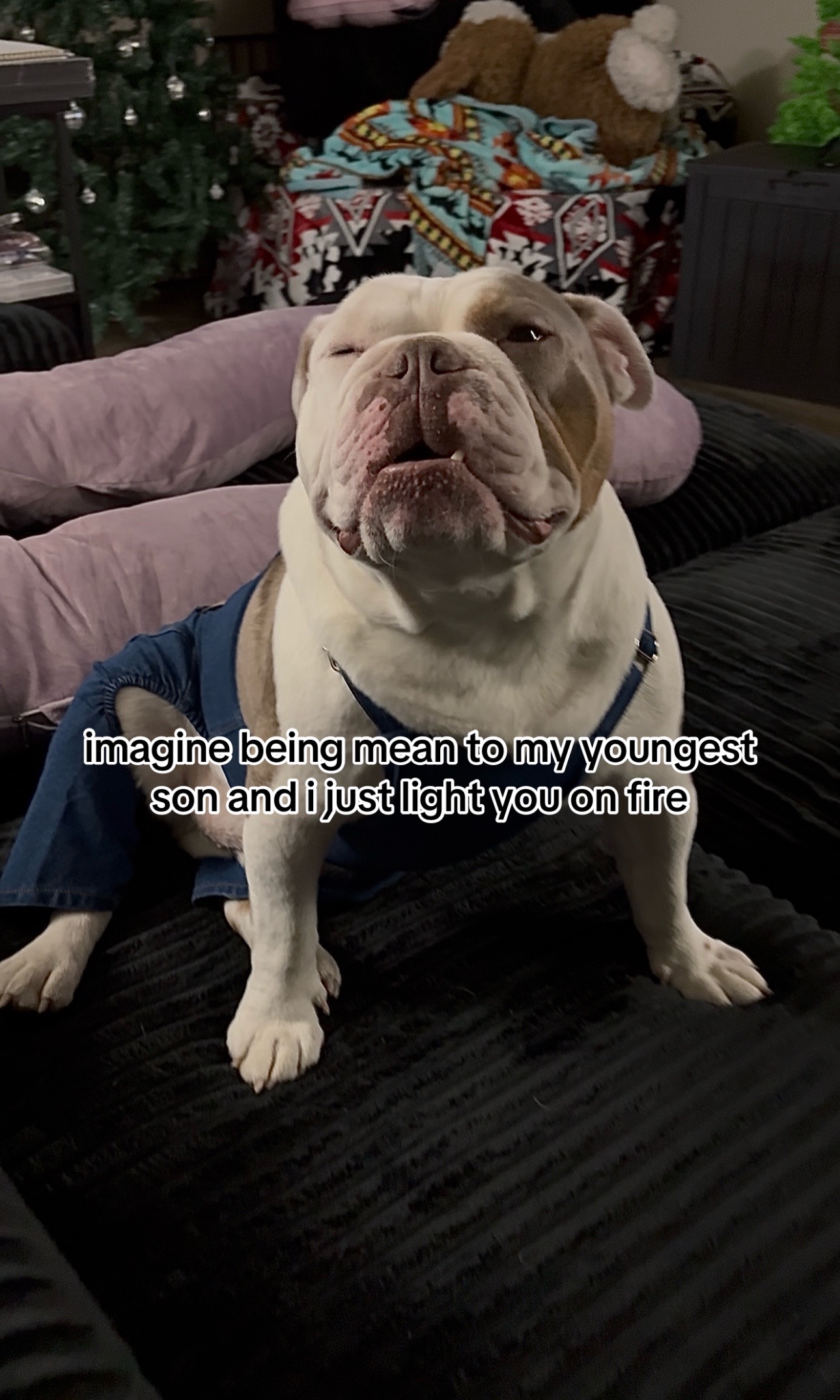 @kai•thedogmother🐾