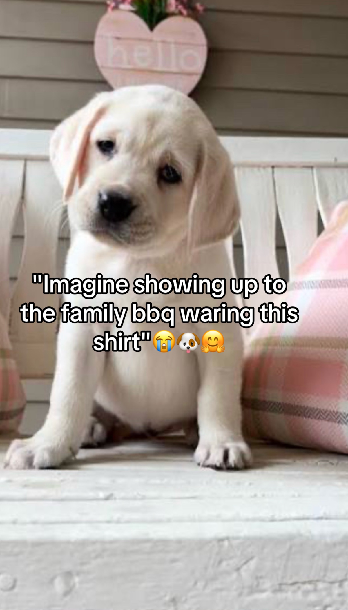 @🐻 Alaska Family Shop 🛍️