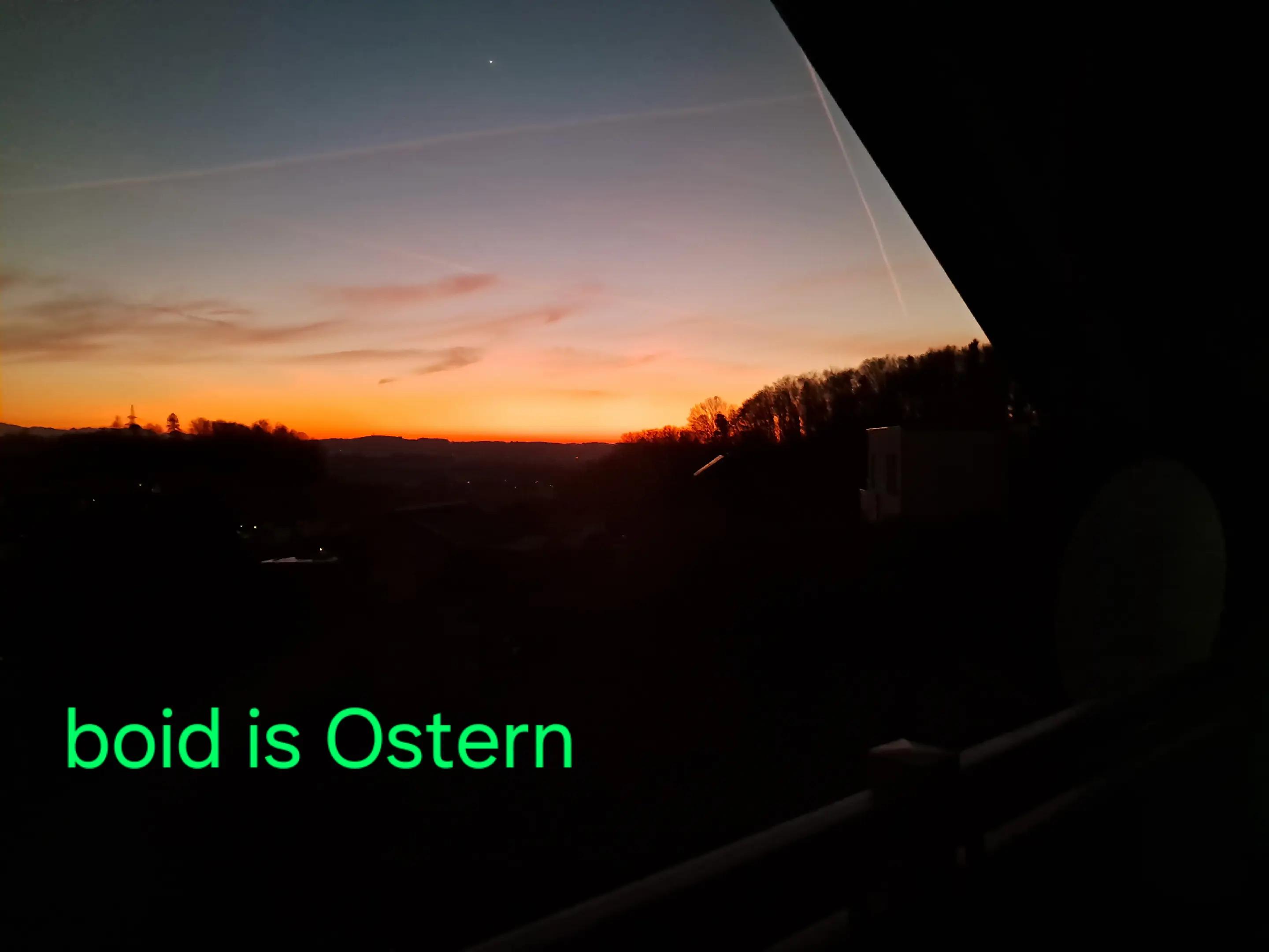 @Forst_Husky_Eli🌲💪🤟🇦🇹