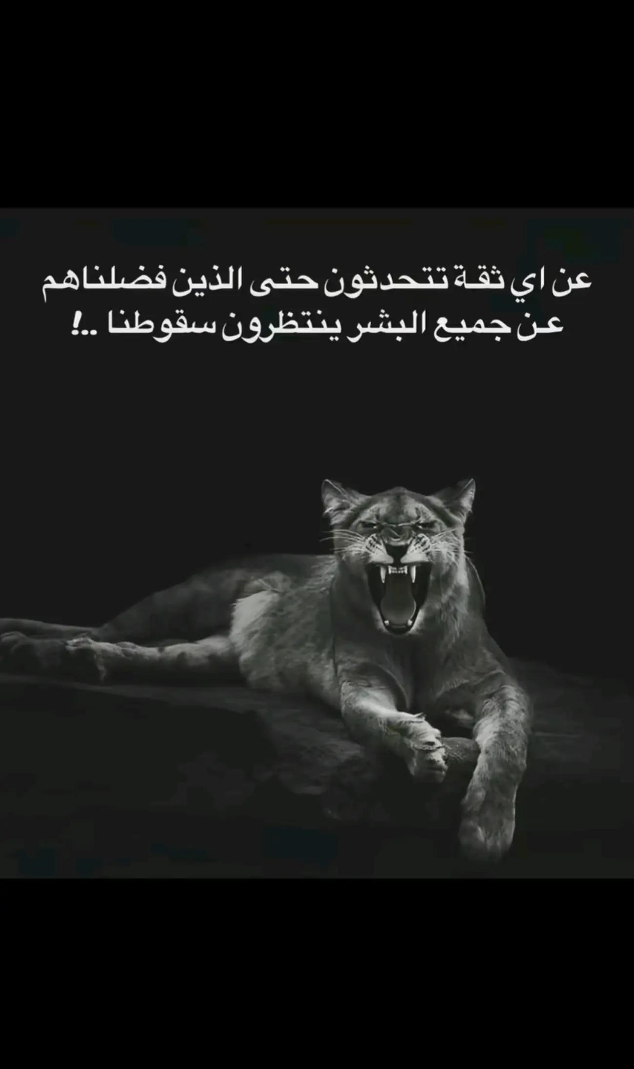 @Hamo Eltourky
