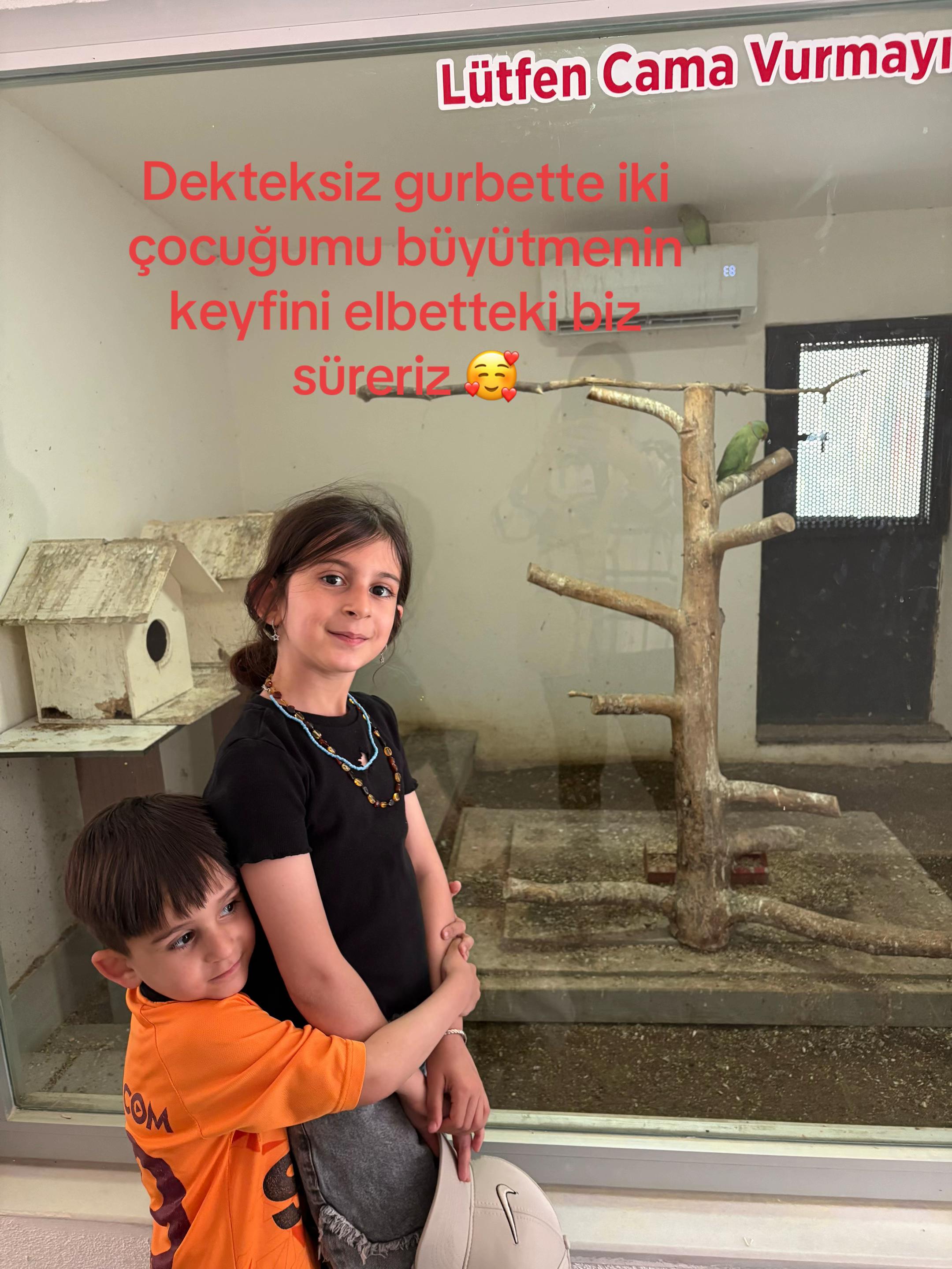 @Polat ailesi