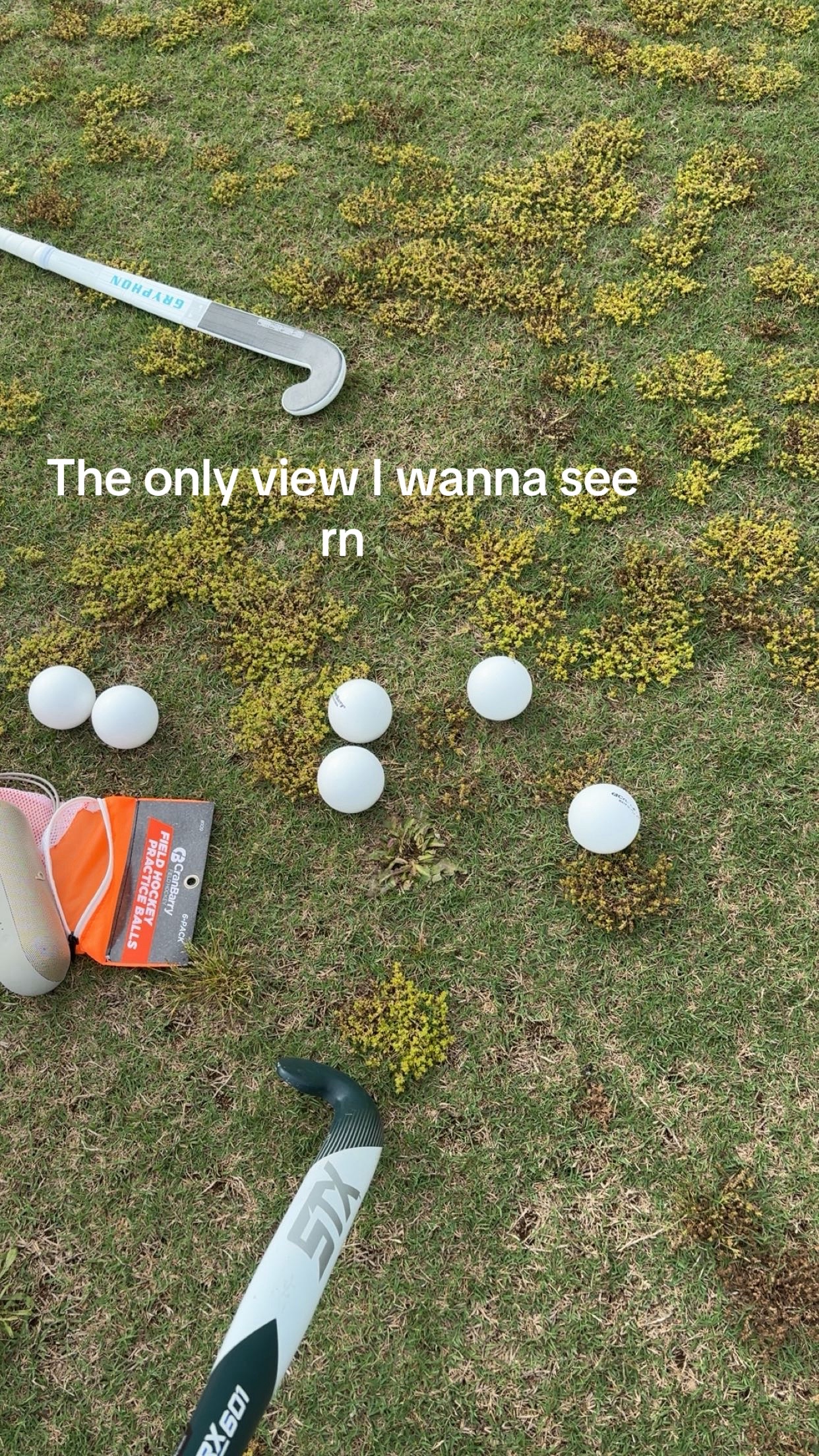 @️Elena