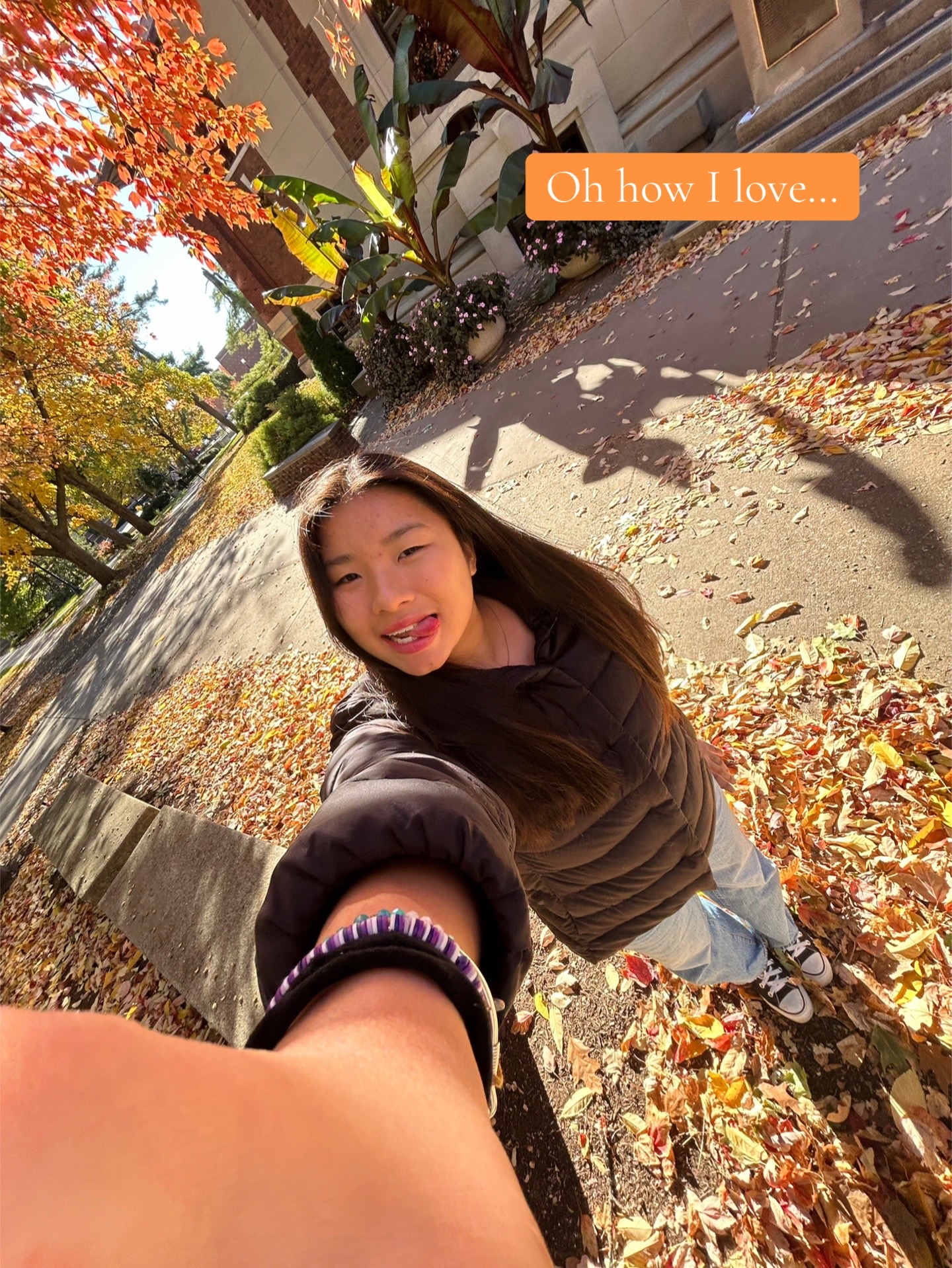 @๐๐พ๐ซ๐ผ♥
