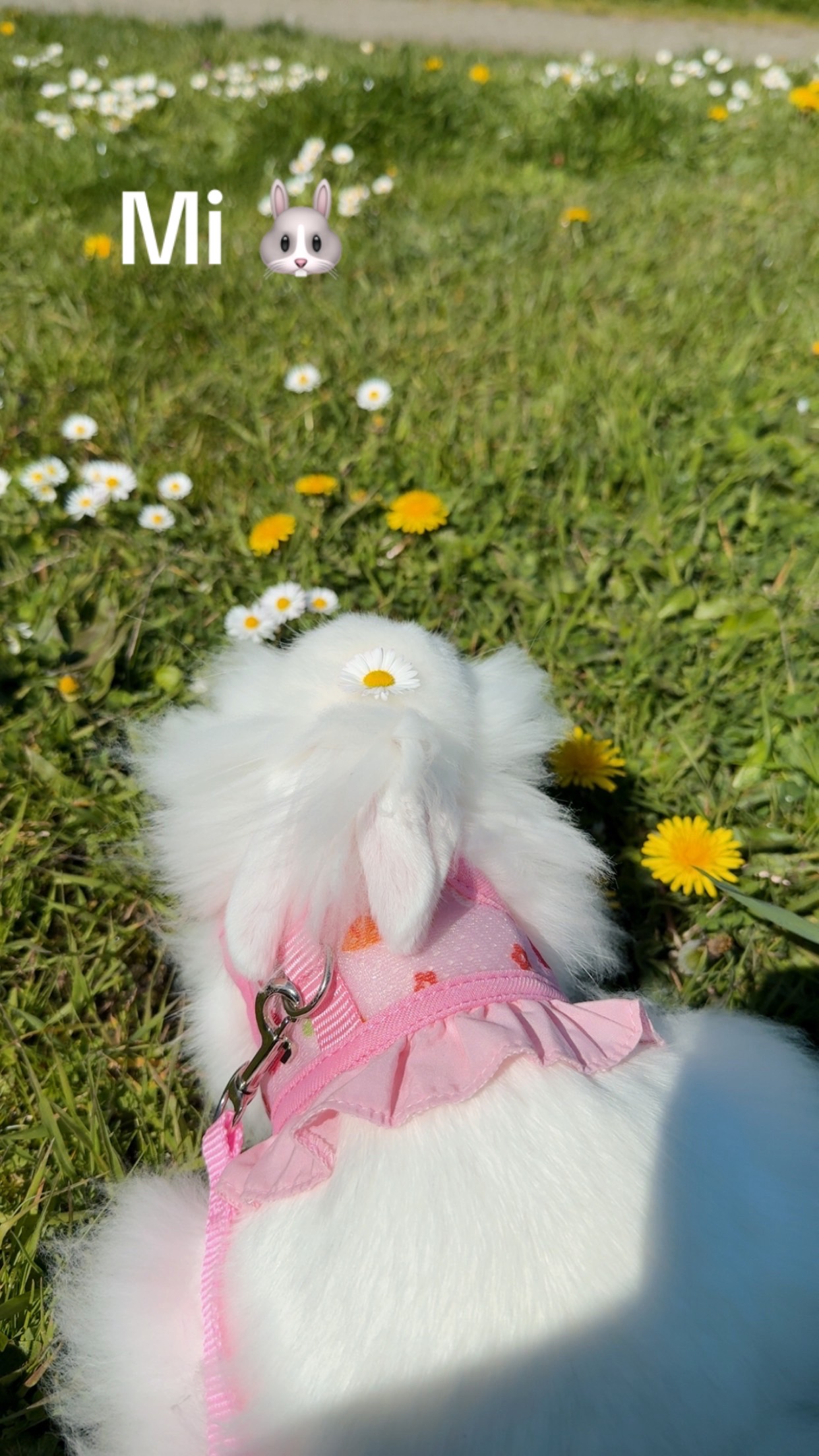 @Marylin Sancho🐰